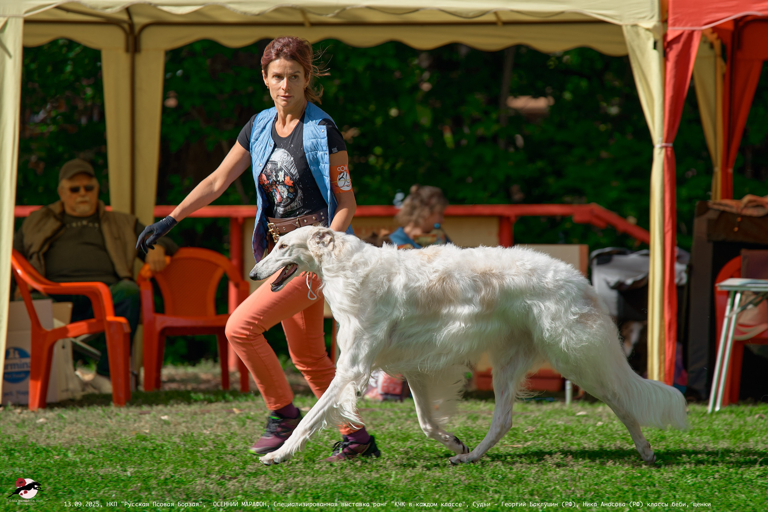ОСЕННИЙ МАРАФОН | Специализированная выставка породы Русская Псовая Борзая ранг "КЧК в каждом классе"