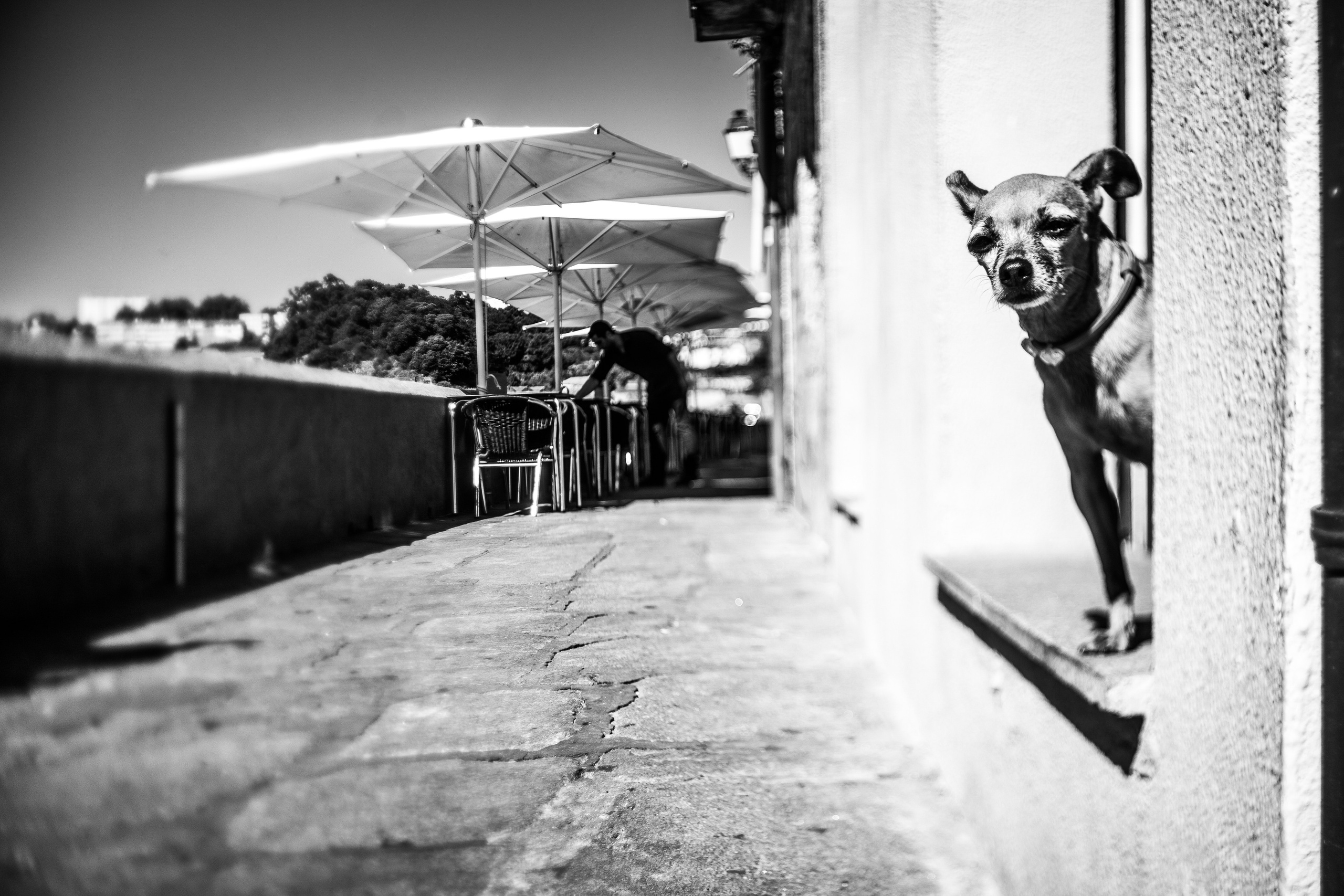 Курс «Стрит фотография»