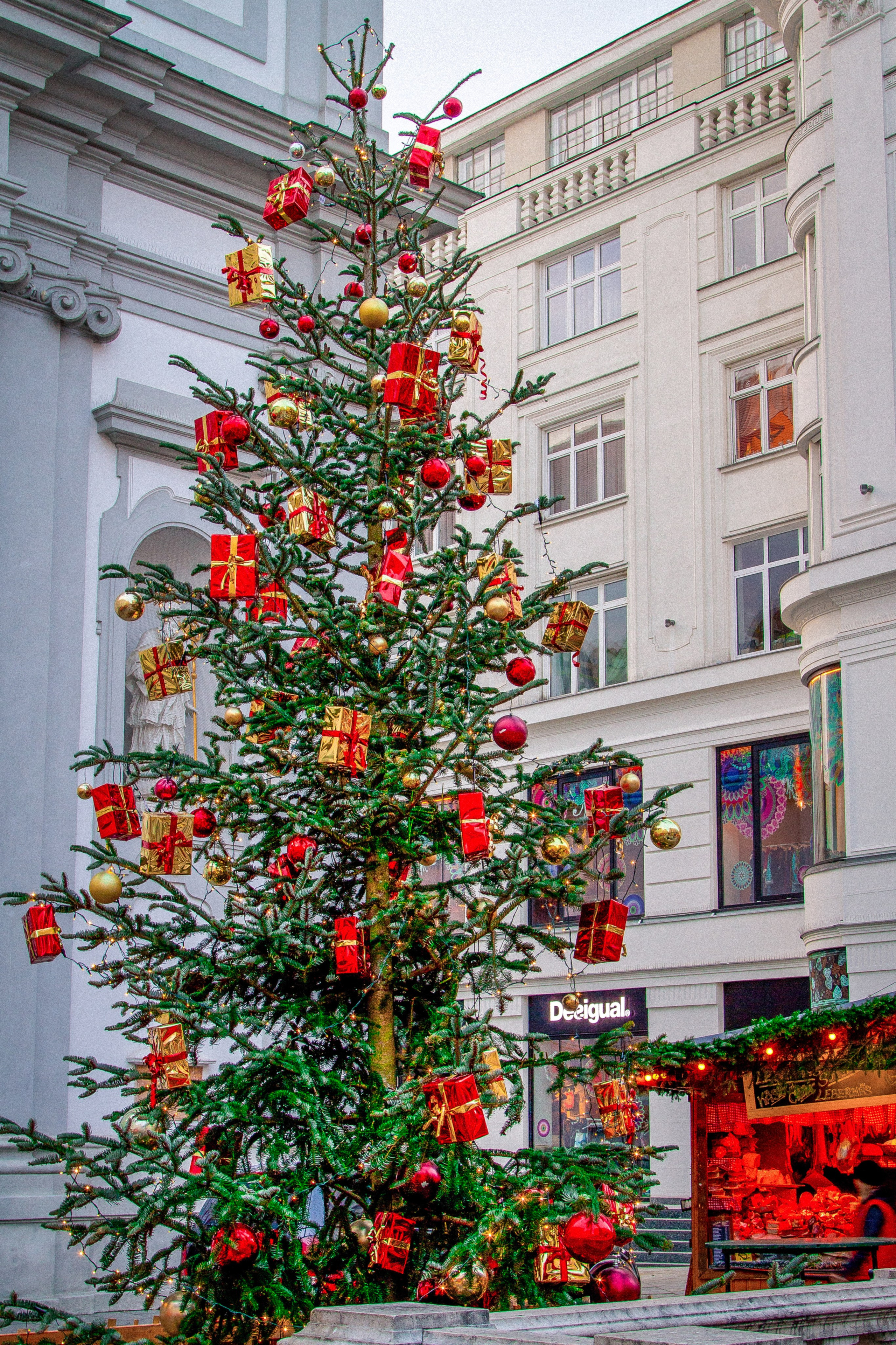 Австрия: Вена — знакомство. Дарья Письменюк / Darya Leitstern — фотограф, музыкант, журналист, путешественник