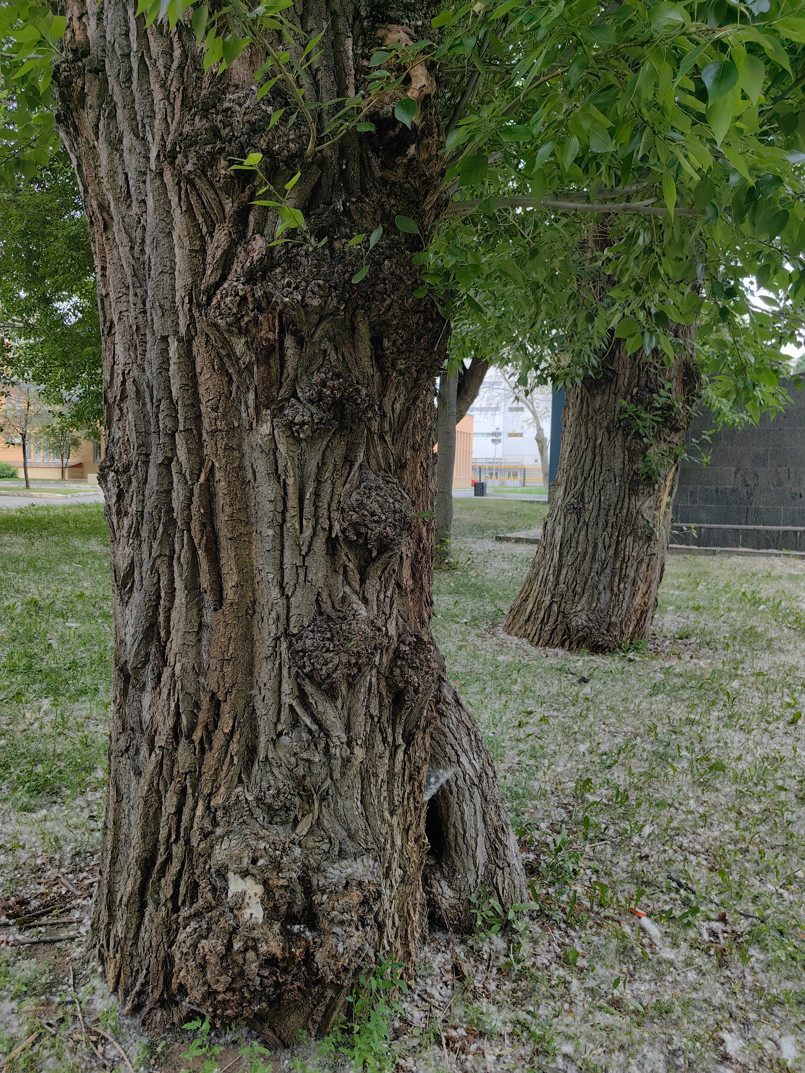 Парк ЕКАТЕРИНИНСКИЙ обзор. Фотограф в Москве и Московской области (Ю-В) Олеся Макарова