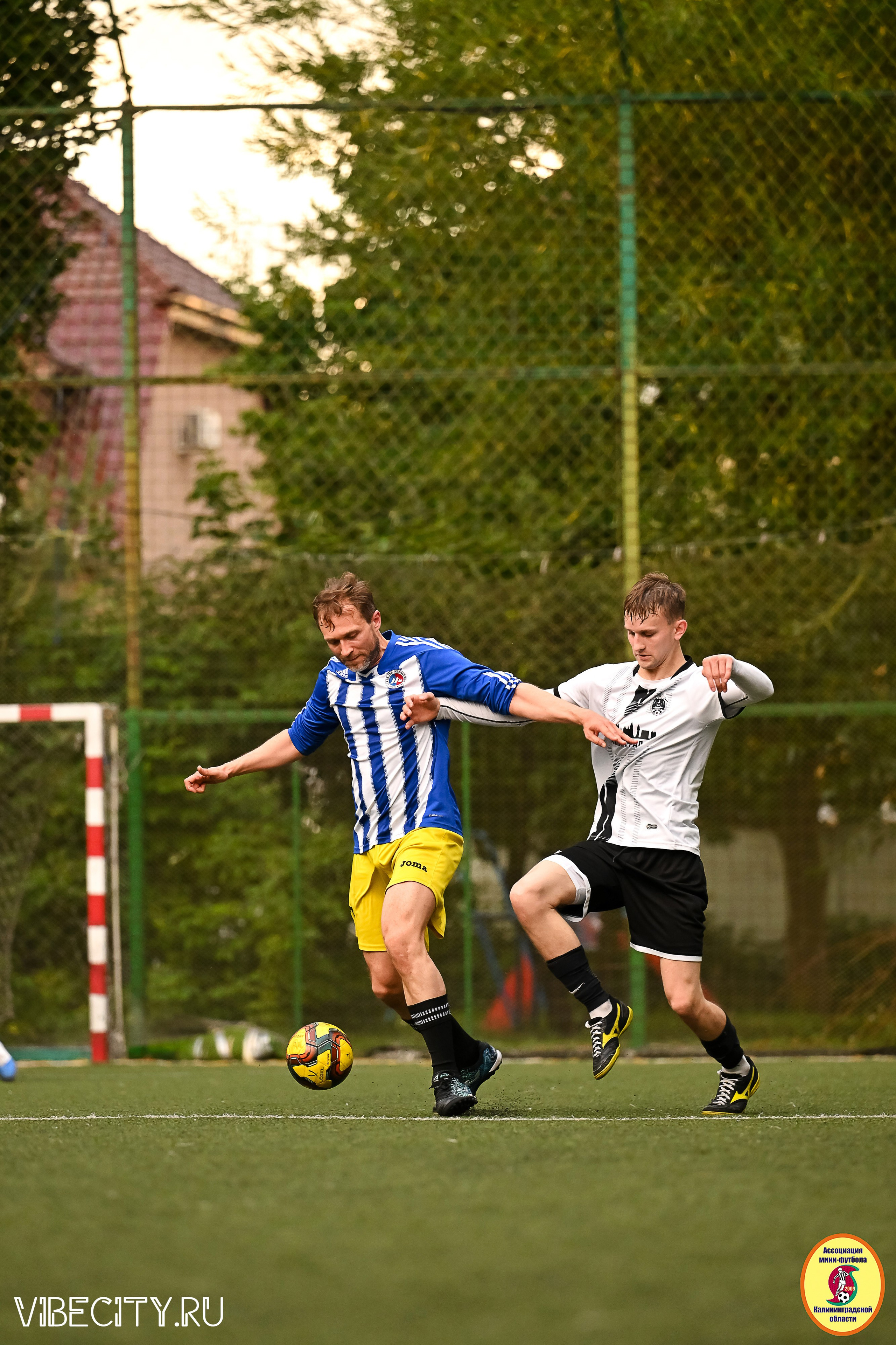 ИГРЫ МИНИ-ФУТБОЛЬНОЙ И КОРПОРАТИВНОЙ ЛИГИ. VIBECITY.RU Вайб Сити Ру Фоторепортажи Фотоотчеты Калининград