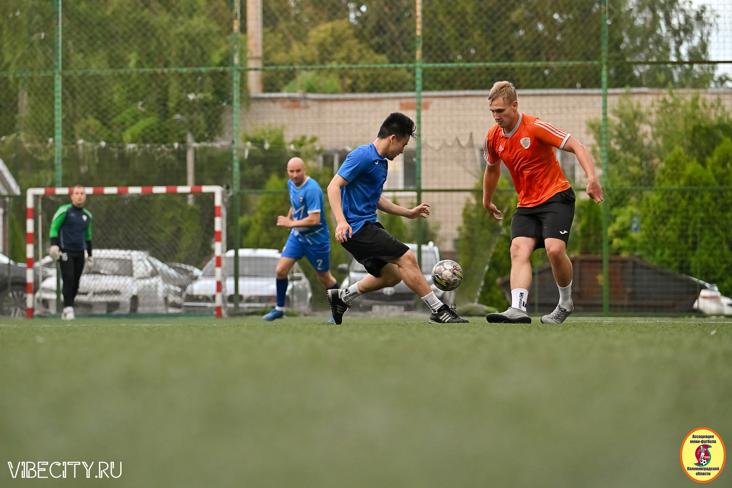 ИГРЫ МИНИ-ФУТБОЛЬНОЙ И КОРПОРАТИВНОЙ ЛИГИ. VIBECITY.RU Вайб Сити Ру Фоторепортажи Фотоотчеты Калининград