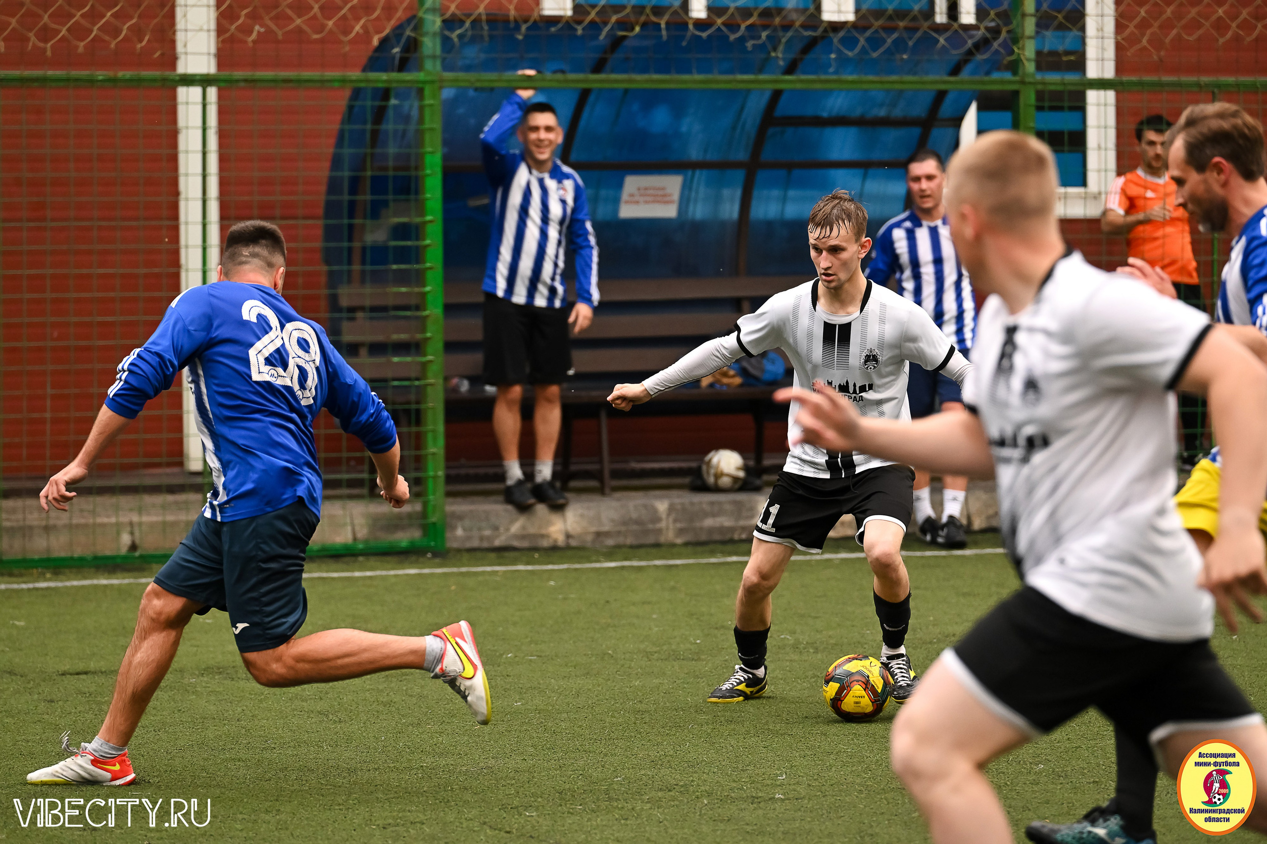 ИГРЫ МИНИ-ФУТБОЛЬНОЙ И КОРПОРАТИВНОЙ ЛИГИ. VIBECITY.RU Вайб Сити Ру Фоторепортажи Фотоотчеты Калининград