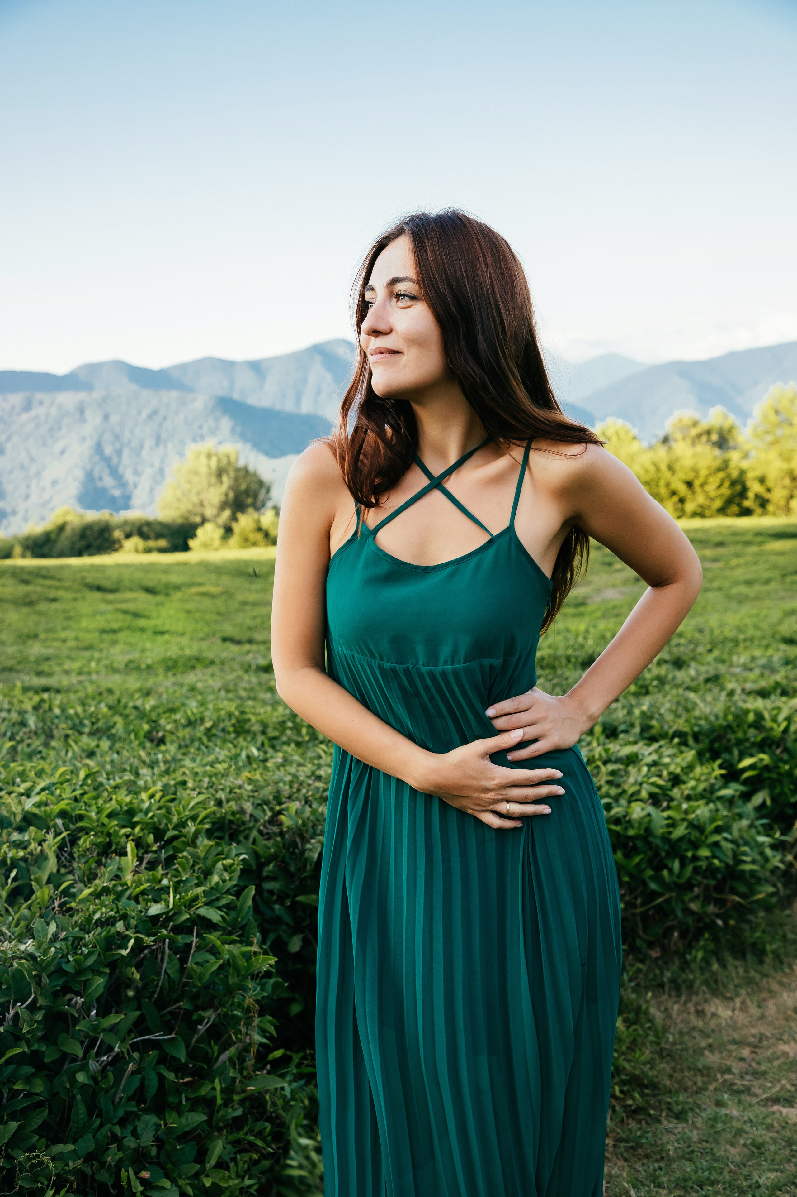 Чайные плантации Сочи