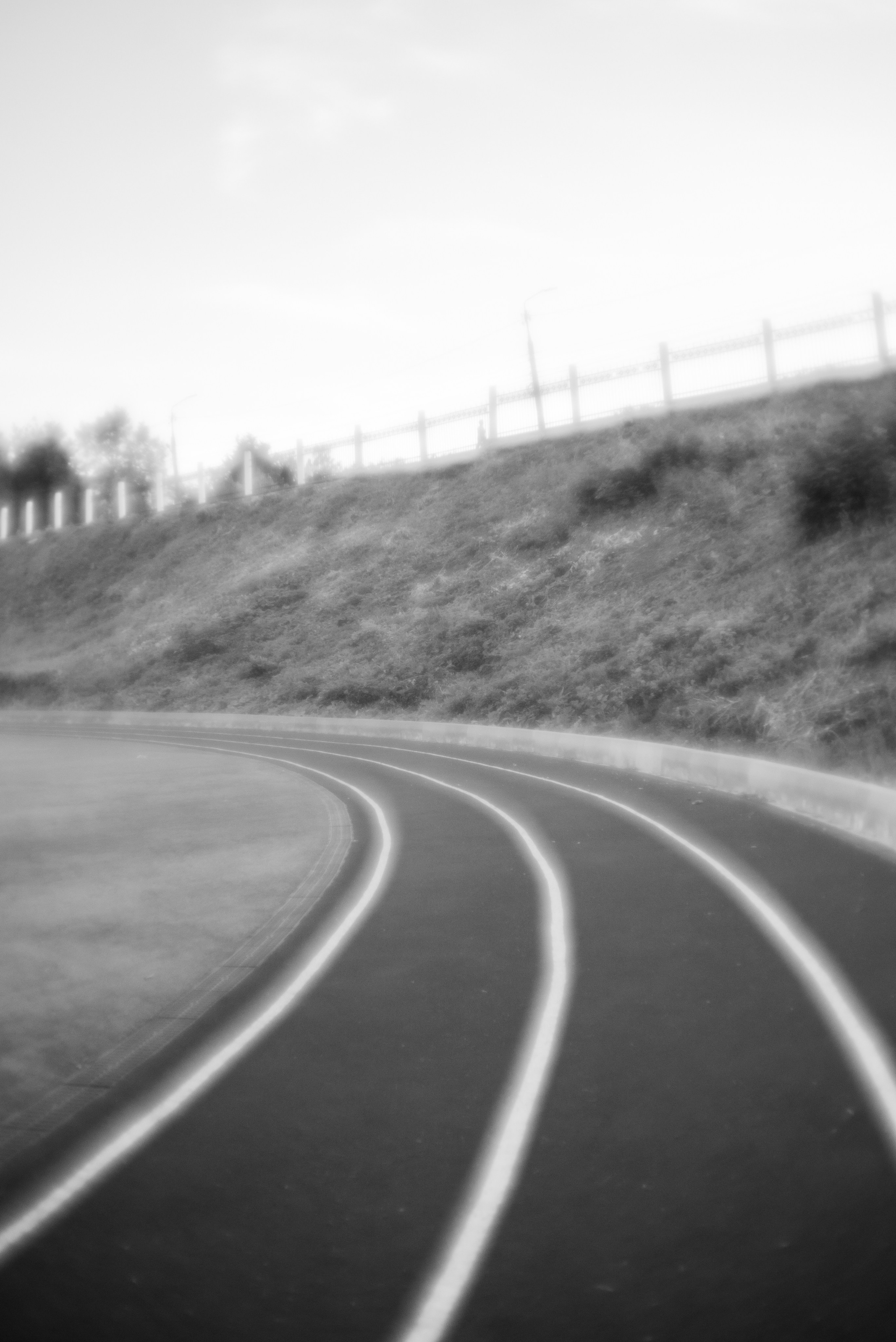 «Трава забвения»/ «The herb of oblivion» (2024-in progress). Morskyakanulavmorya