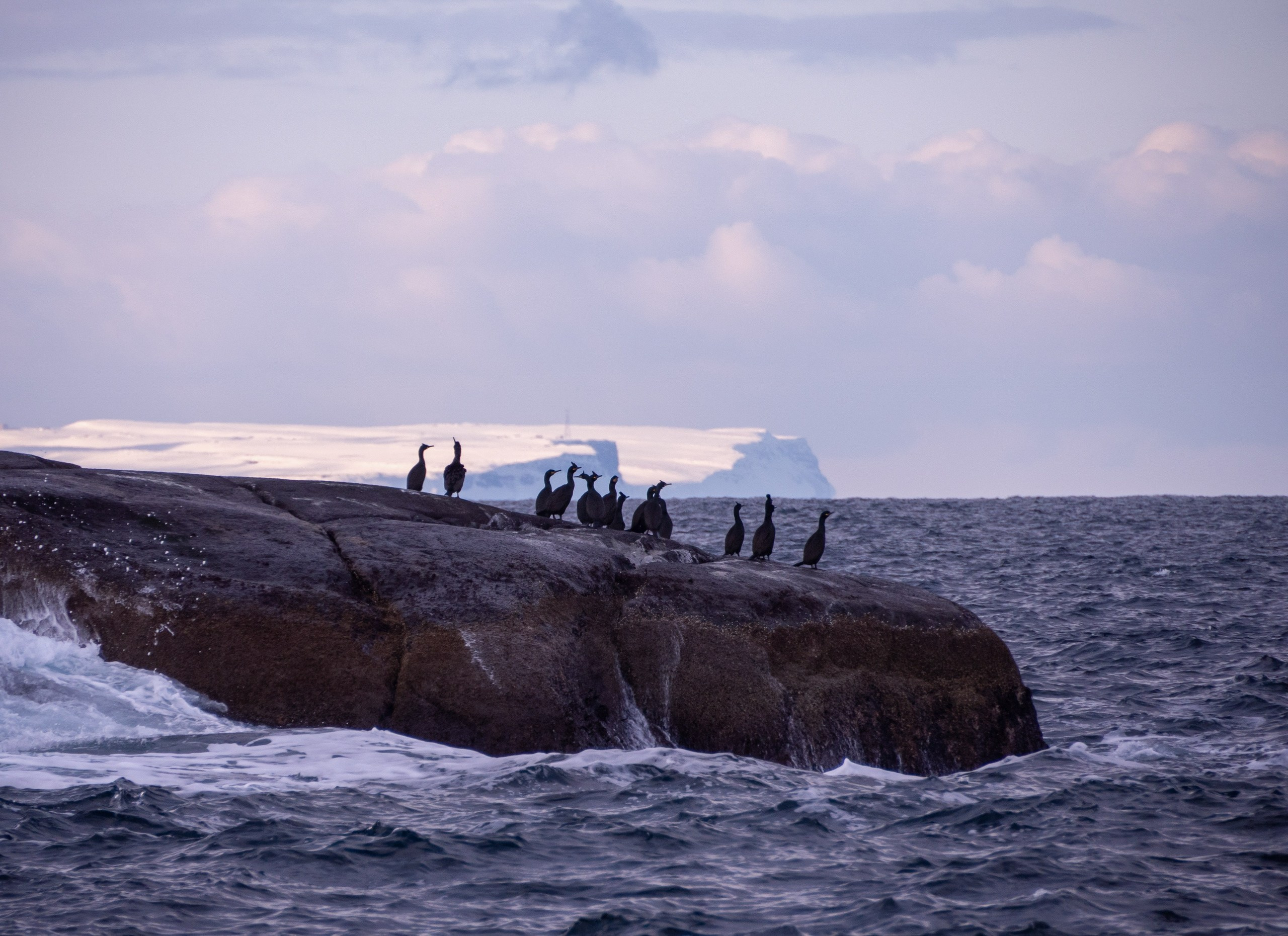 Наука путешествовать