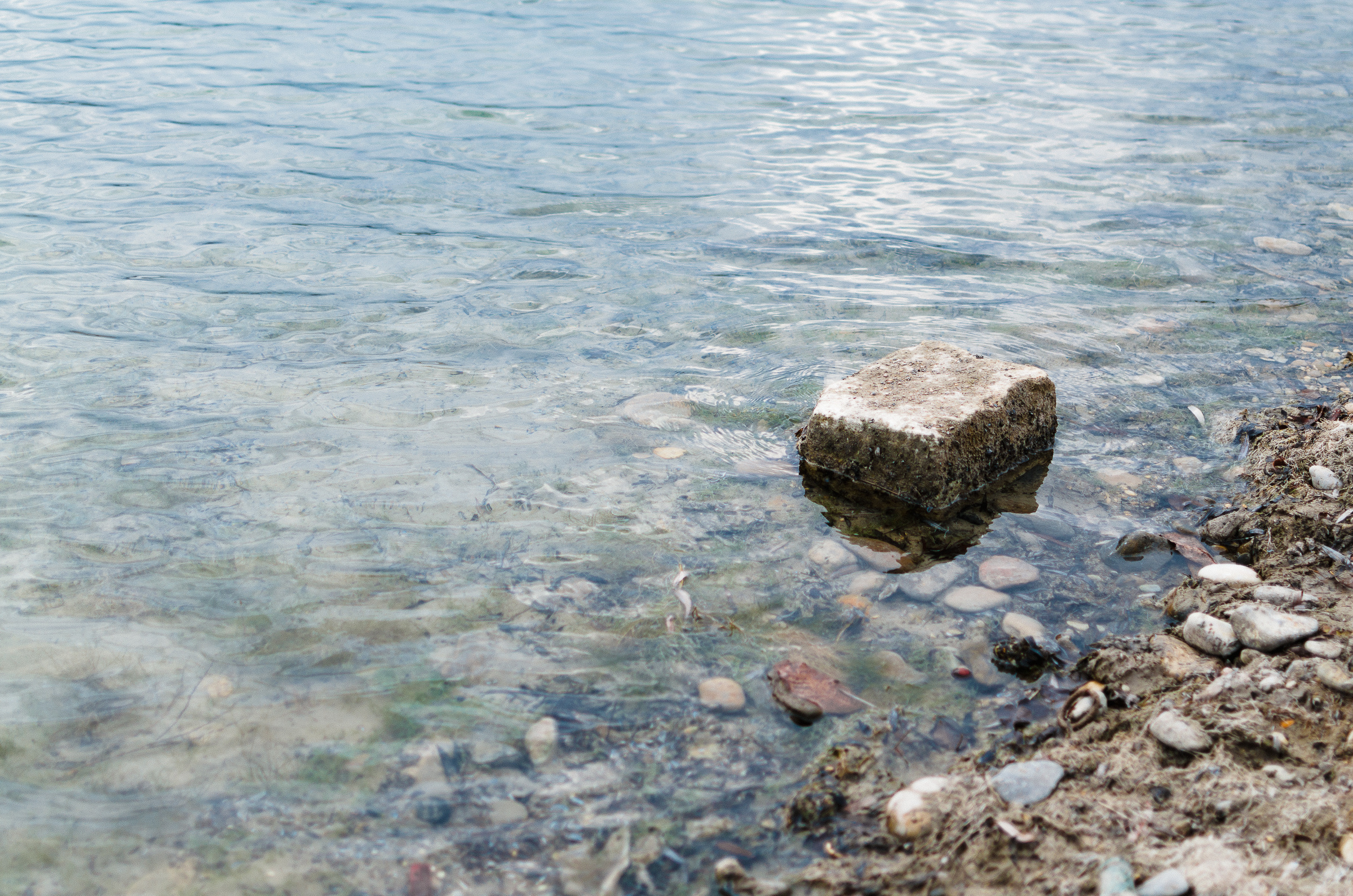 Свадьба в г.Пятигорск. Свадебный фотограф Ольга Дзюба. Фотограф Ольга Дзюба. Фототерапия как зеркало души. КМВ