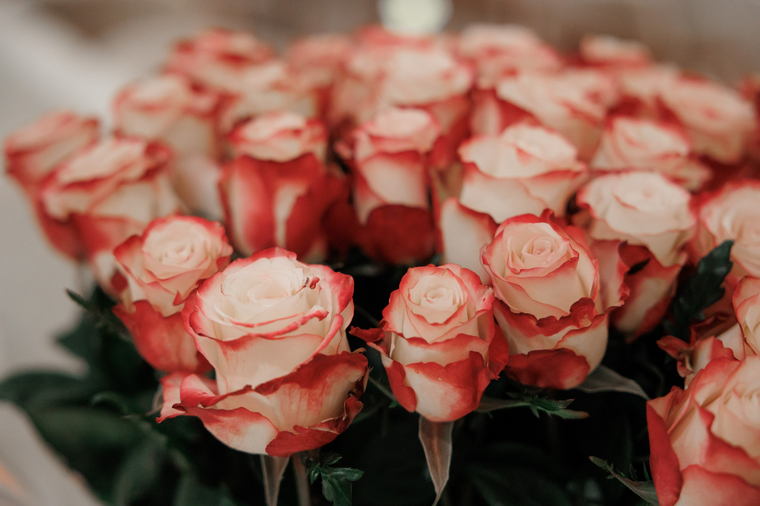 День рождения, ресторан «Пафос». Свадебный и репортажный фотограф (Москва, Королев и другие)