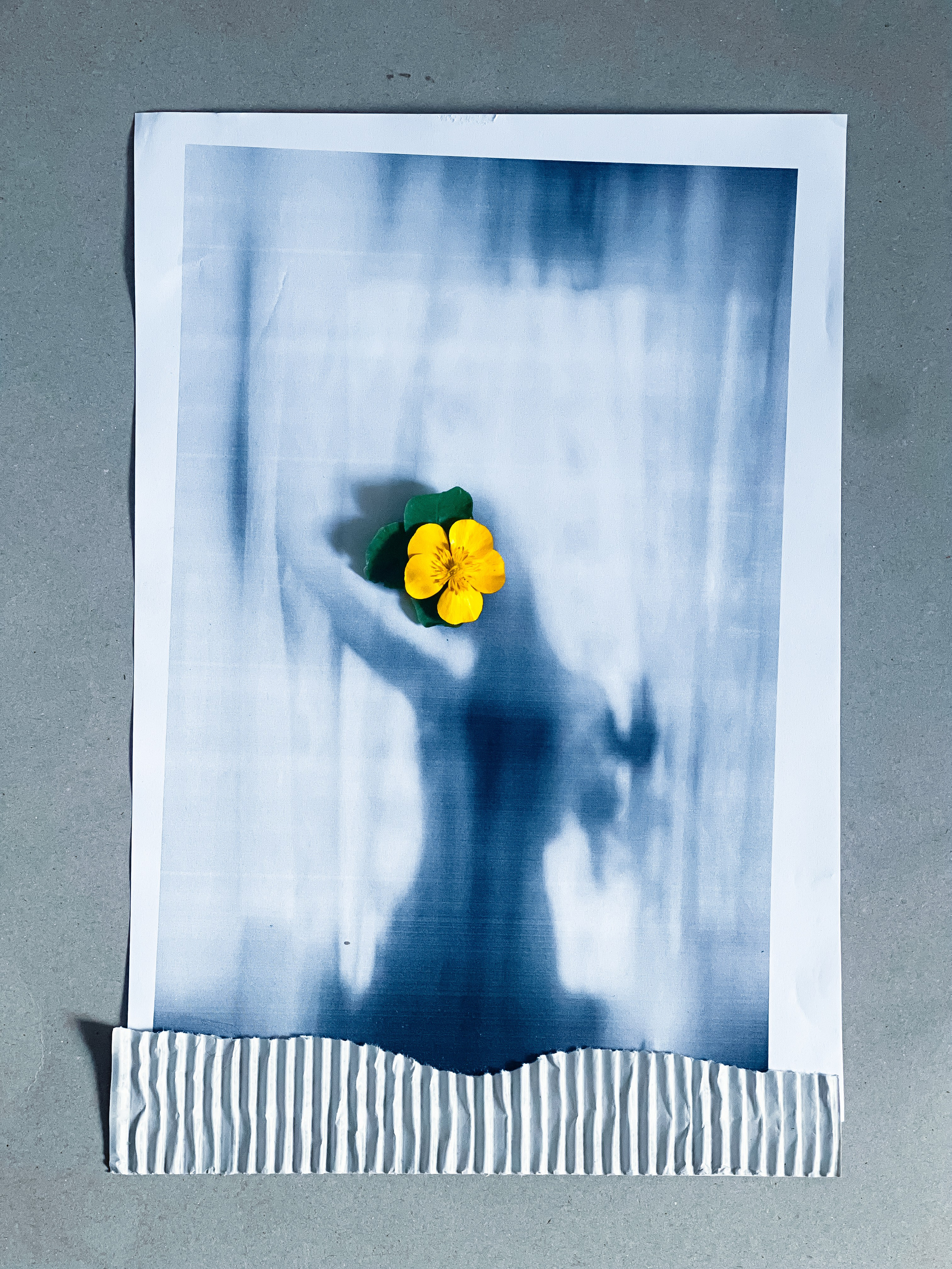 LA NASCITA DELLE IDEE. Fotografa di Famiglia in Toscana, Lucca