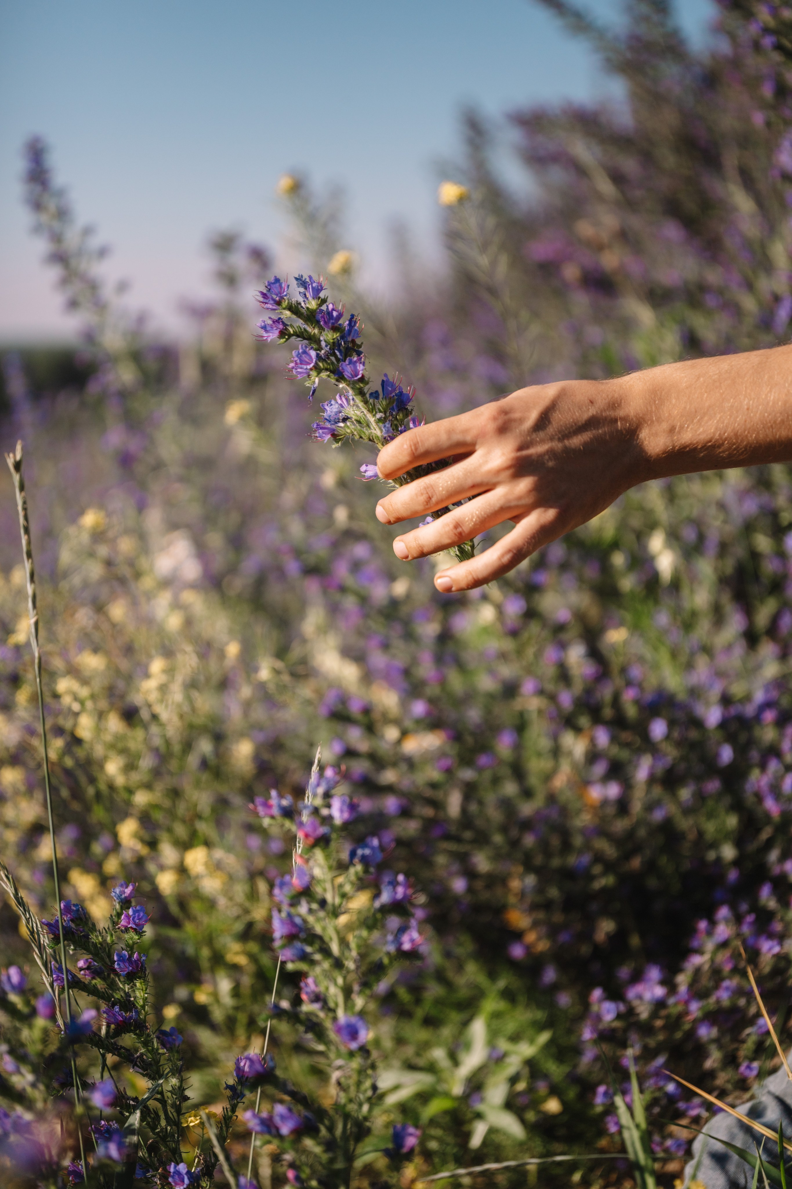 Люди. Фотограф Олеся Кавлакан