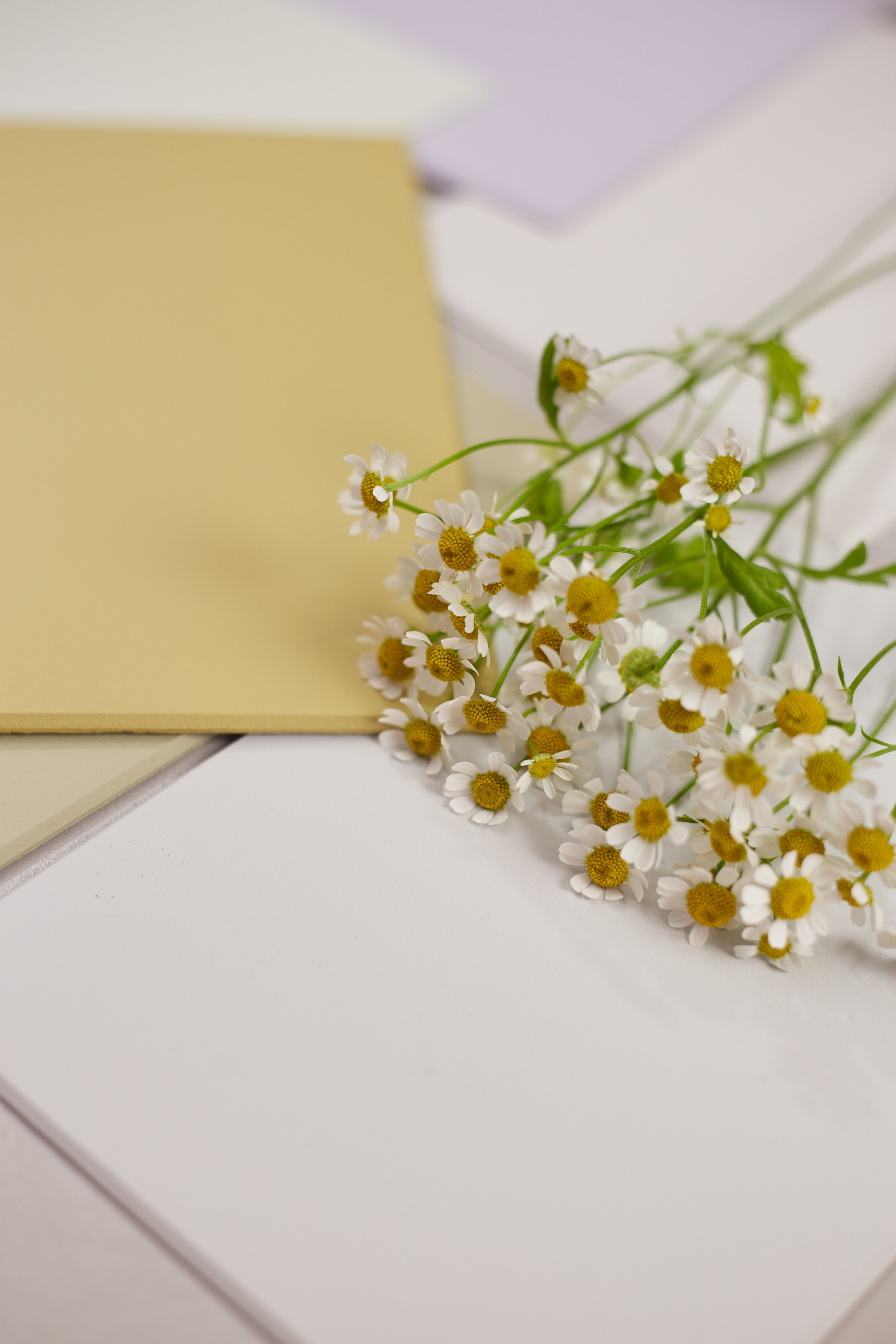 DERUFA. Elizarova Design Studio