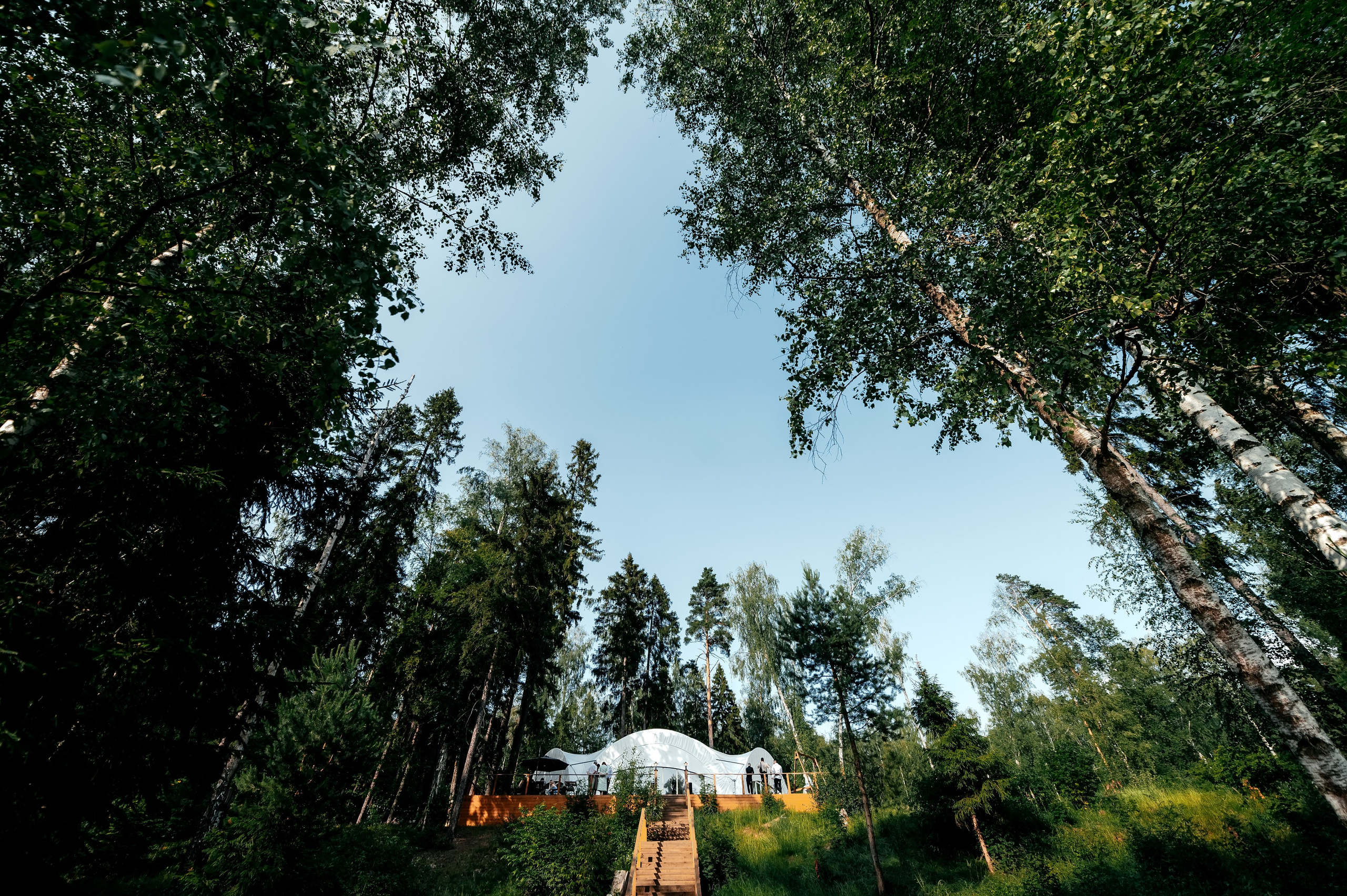 А как Вам такая идея?. Свадебный и семейный фотограф Виктория Носачёва. Щелково, Москва и МО