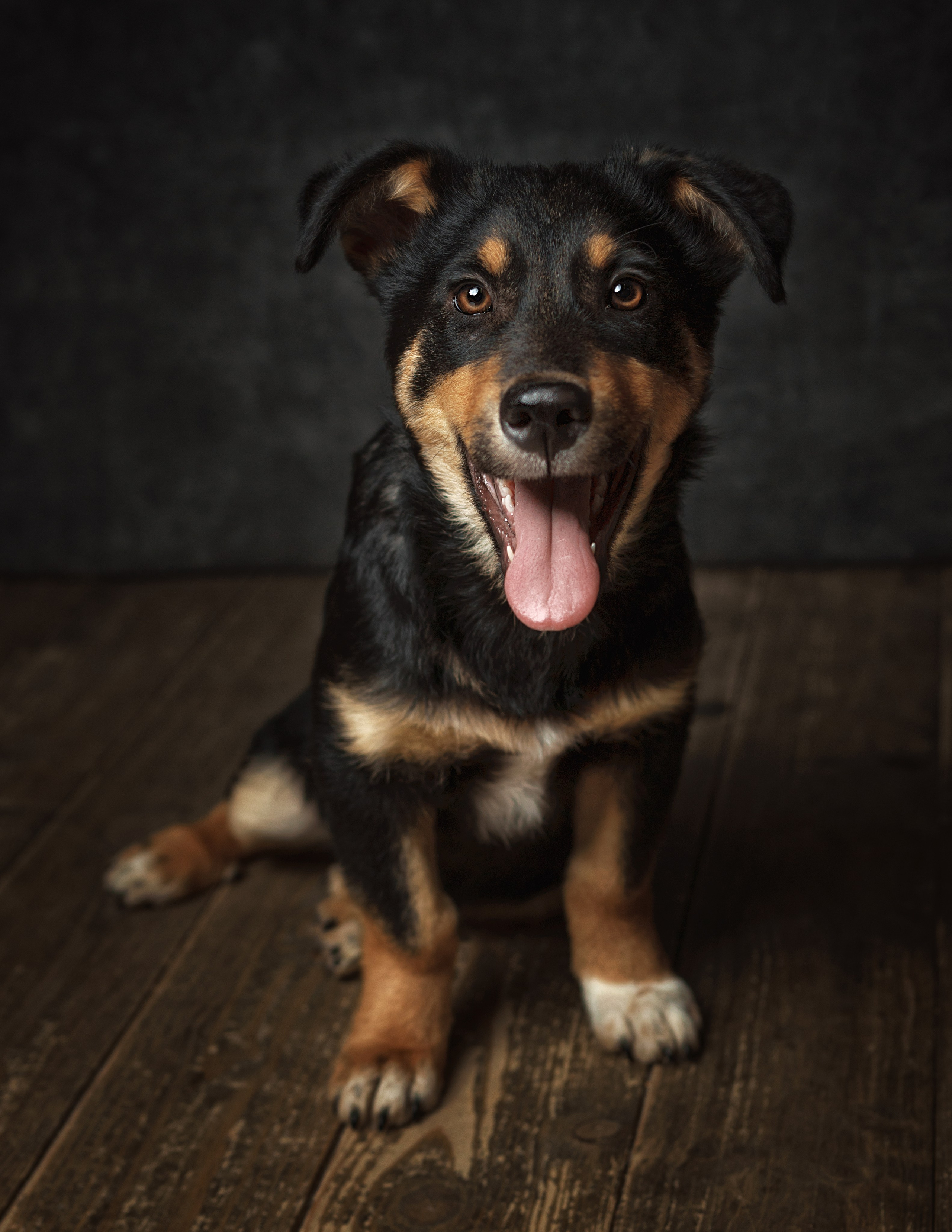 ДРУГ, НАЙДИСЬ. Антон Тимошевский, профессиональный портретный фотограф в Москве и Орле