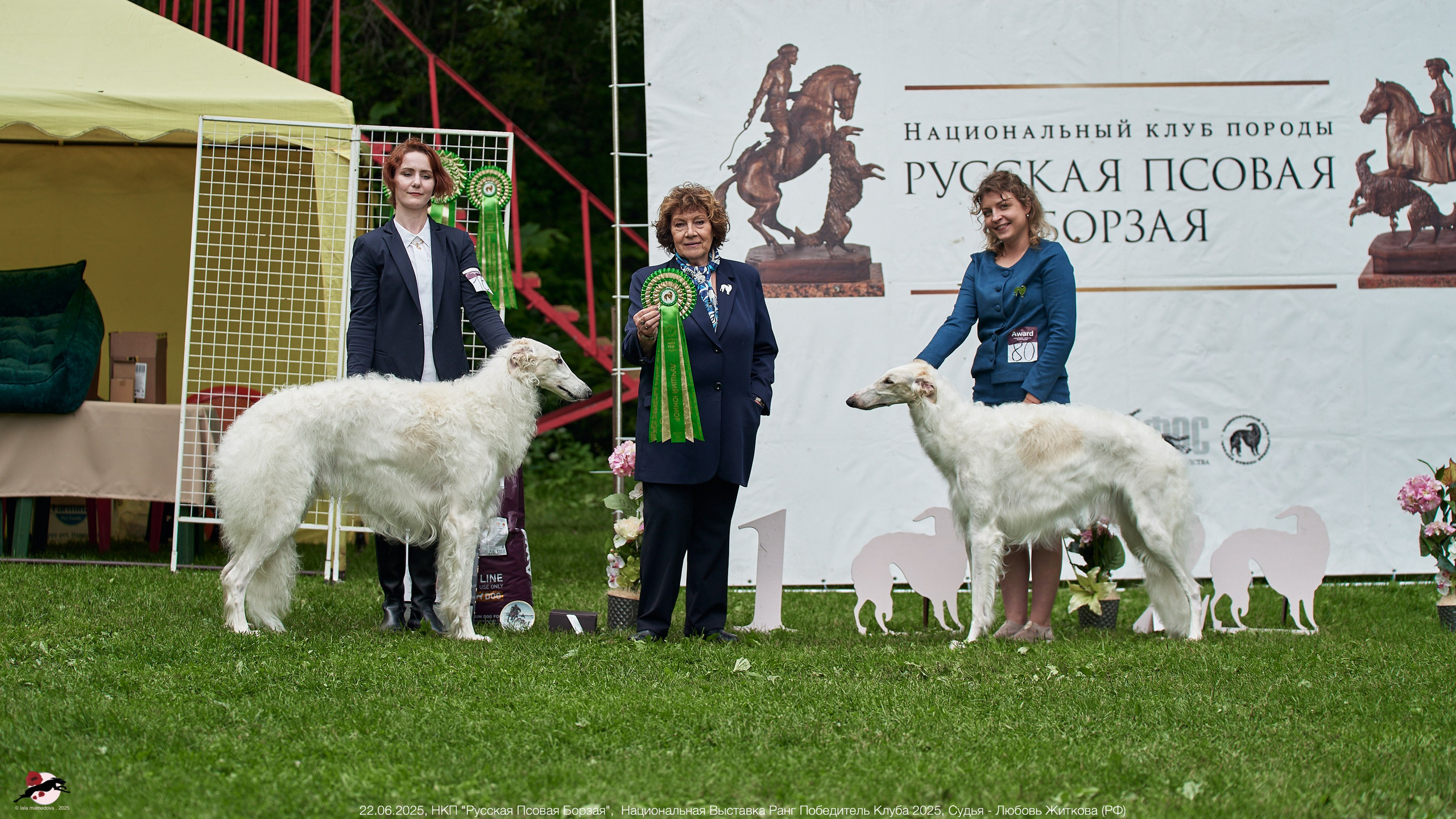 22.06.2025 | Национальная Выставка НКП "Русская Псовая Борзая"