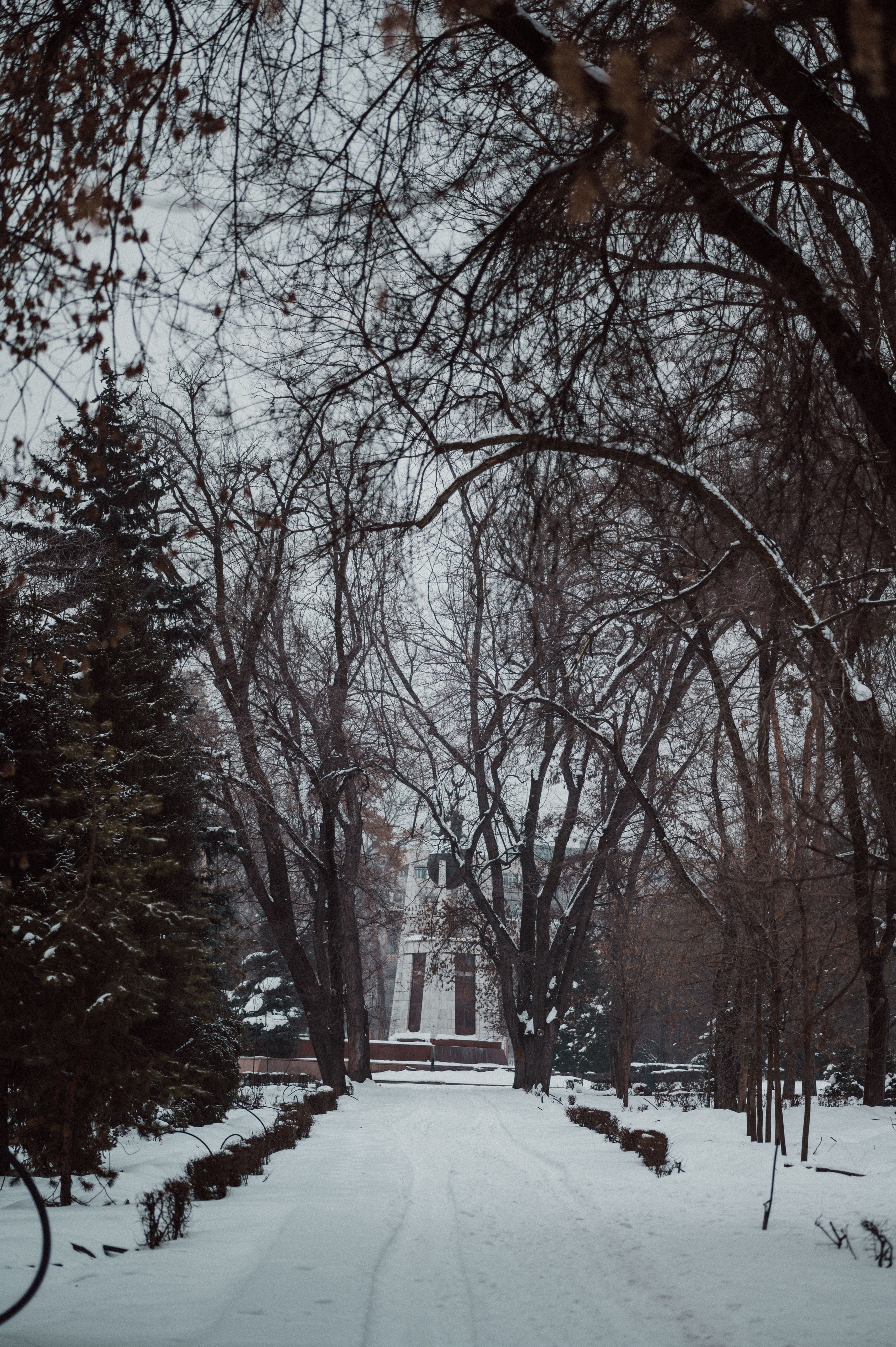 Стрит Алматы: зима 2024. Фотограф в Алматы — Дарья Фёдорова