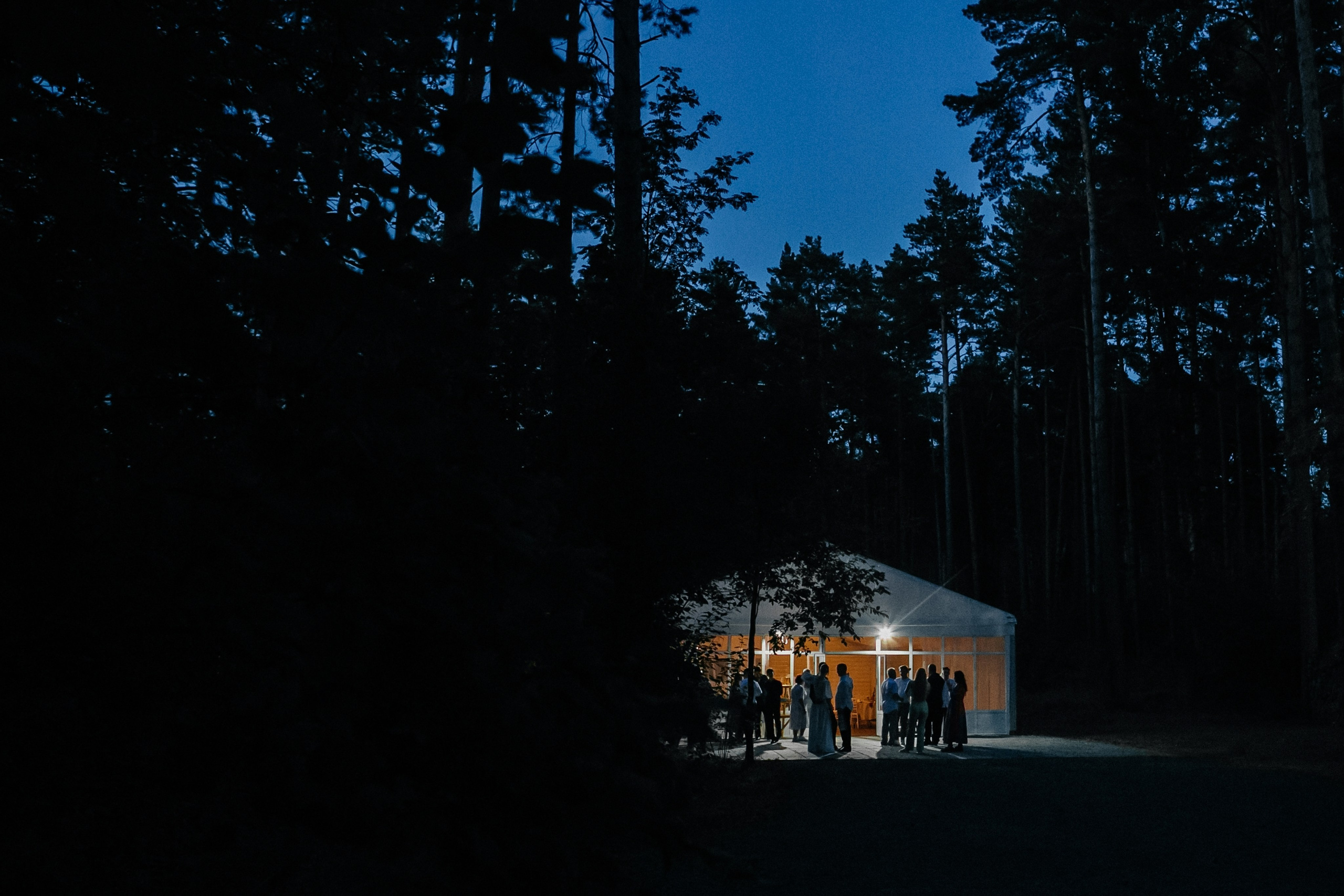 Анонс свадьбы Антона и Софии. Свадебный и семейный фотограф Елена Иштулкина