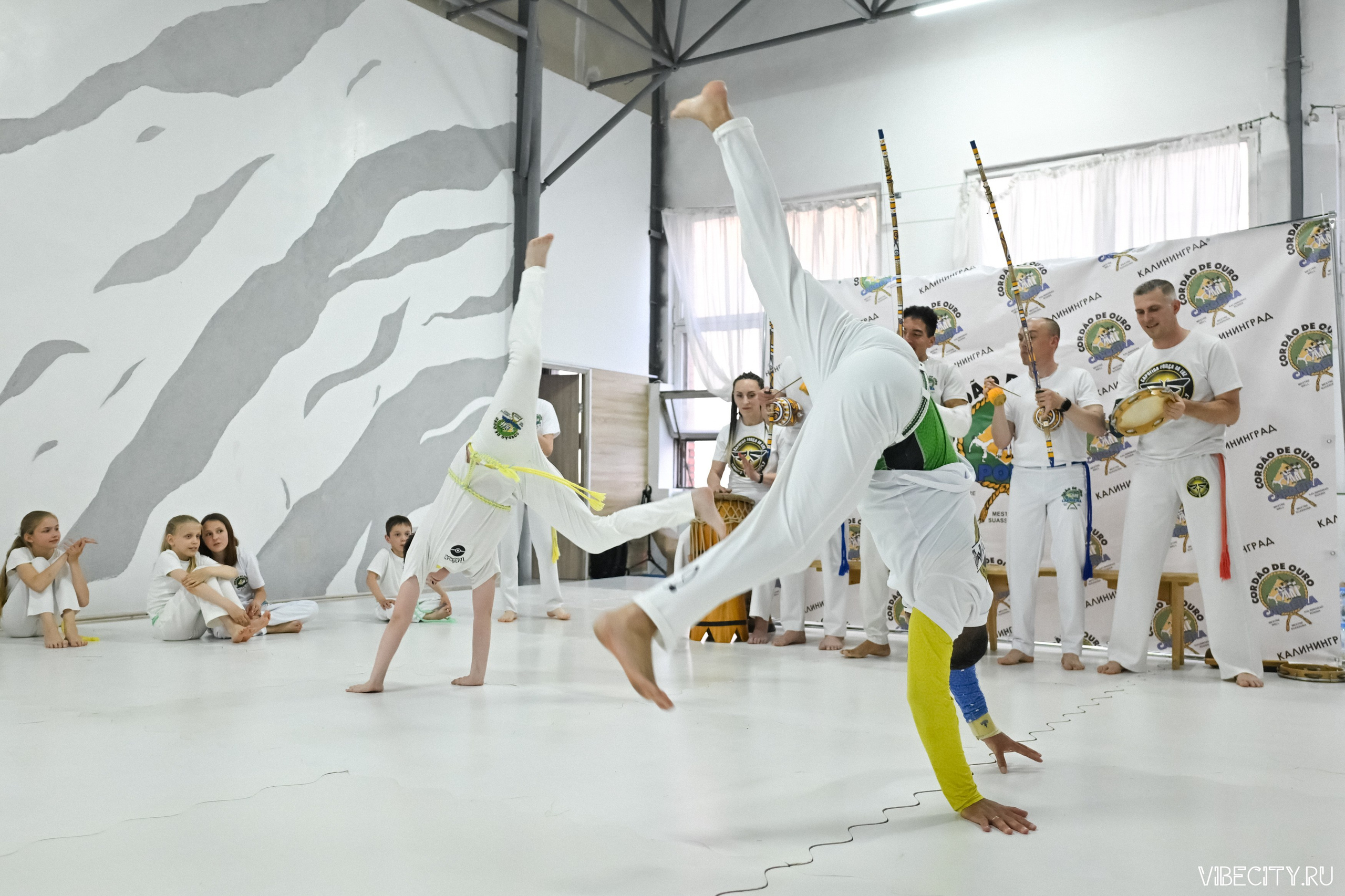 Capoeira: 4-е batizado e Troca de cordao. VIBECITY.RU Вайб Сити Ру Фоторепортажи Фотоотчеты Калининград