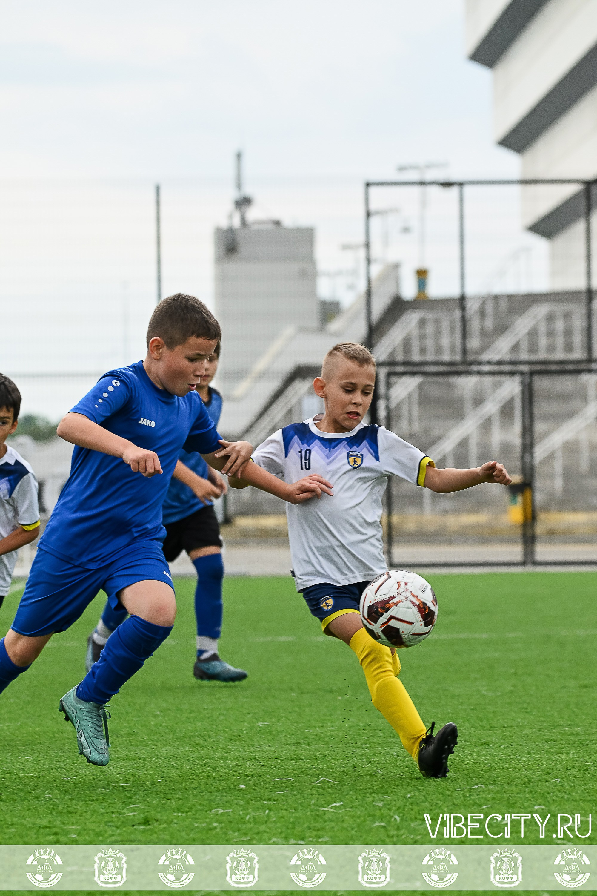 Калининградская Детская Футбольная Лига. VIBECITY.RU Вайб Сити Ру Фоторепортажи Фотоотчеты Калининград