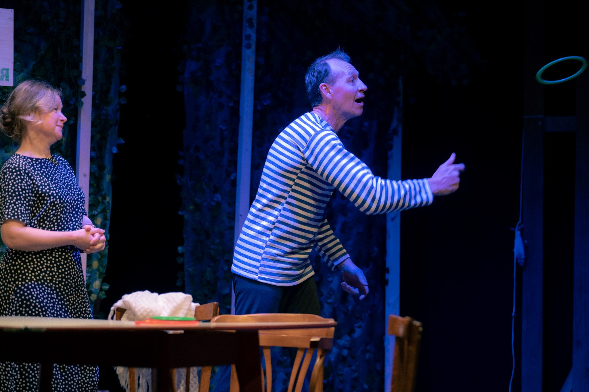 "Дачный роман" спектакль, комедия. Театр "Палитра" режиссёр - Владимир Сабельфельд, особняк Шрёдера