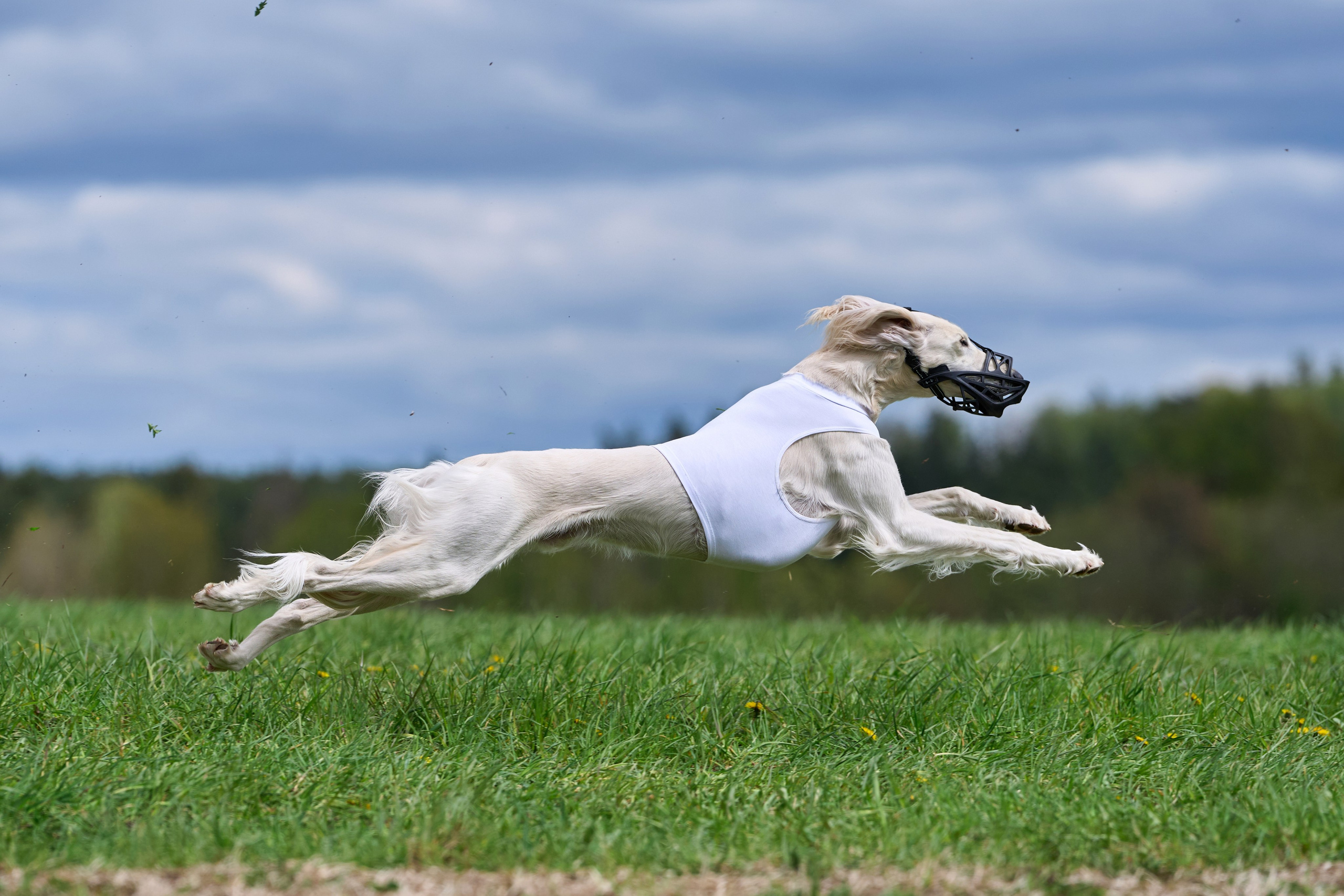 ПЧРКФ по курсингу. Фотограф-анималист Михаил Манухин