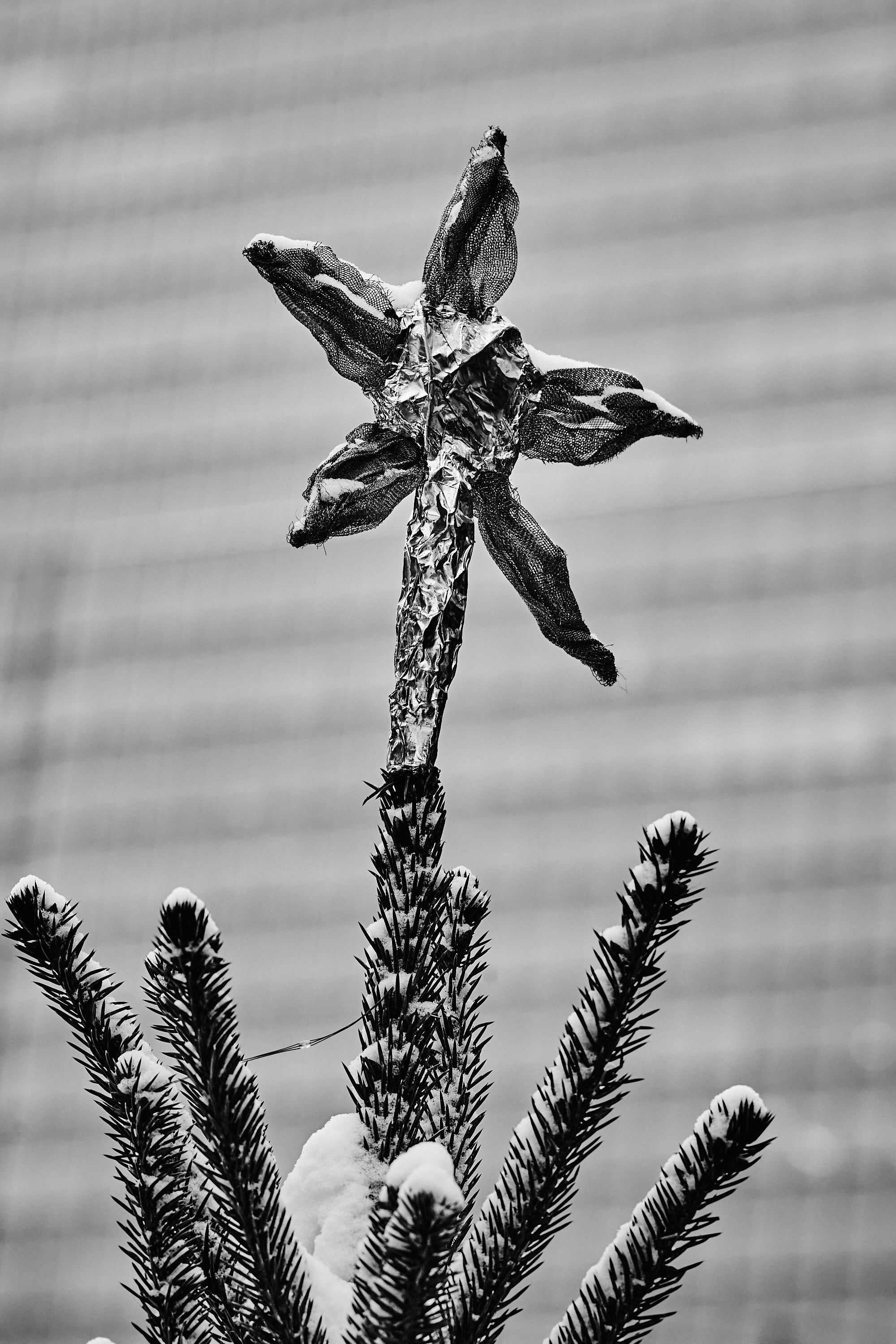 Фотосессия района ЗИЛАРТ зимой 2026 года. Константин Камышников: интерьерный фотограф в Москве и Подмосковье