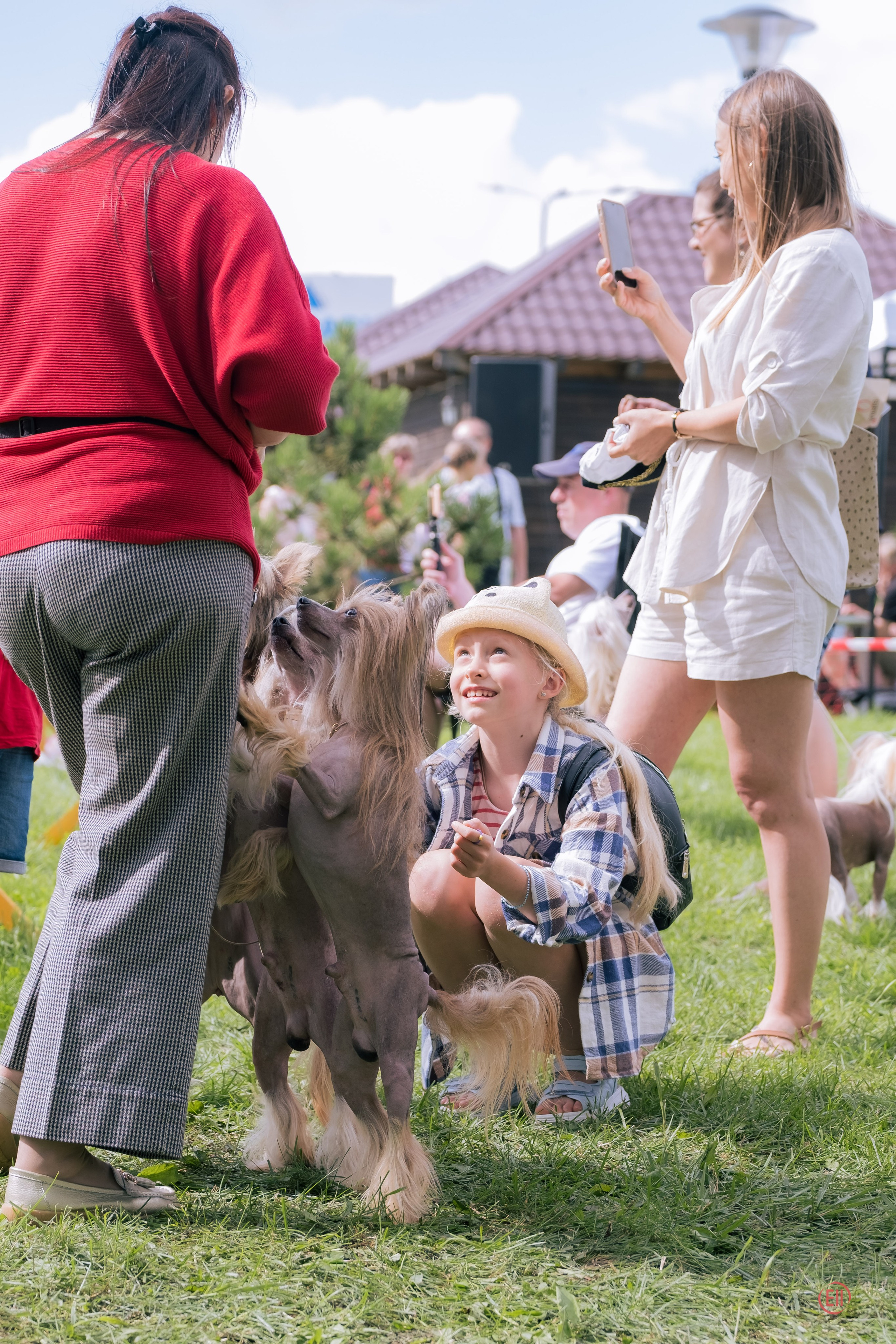 Липецк. Выставка собак. Питомник китайских хохлатых собак Poale Ell: купить щенка