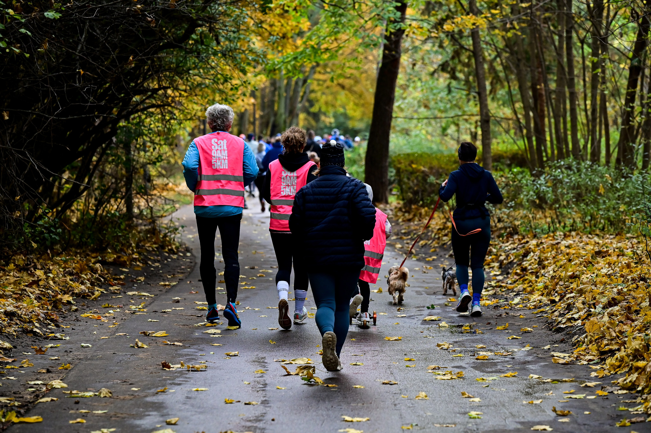 S95 Кузьминки Предмарафонский (12.10.24). Фотограф | Ирина Гамзинова | Москва