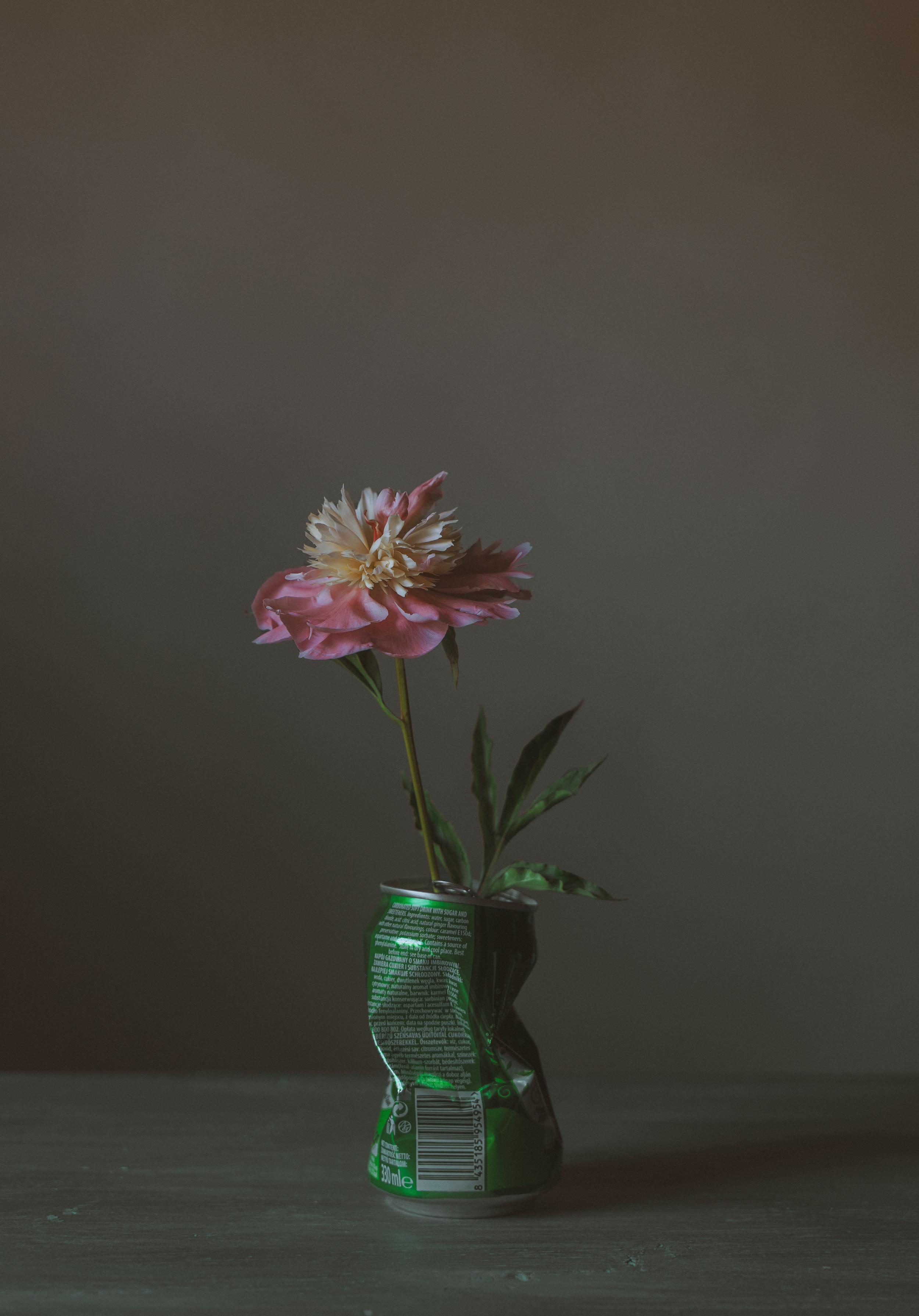 Fine Art фотограф Альбина Бугарчева