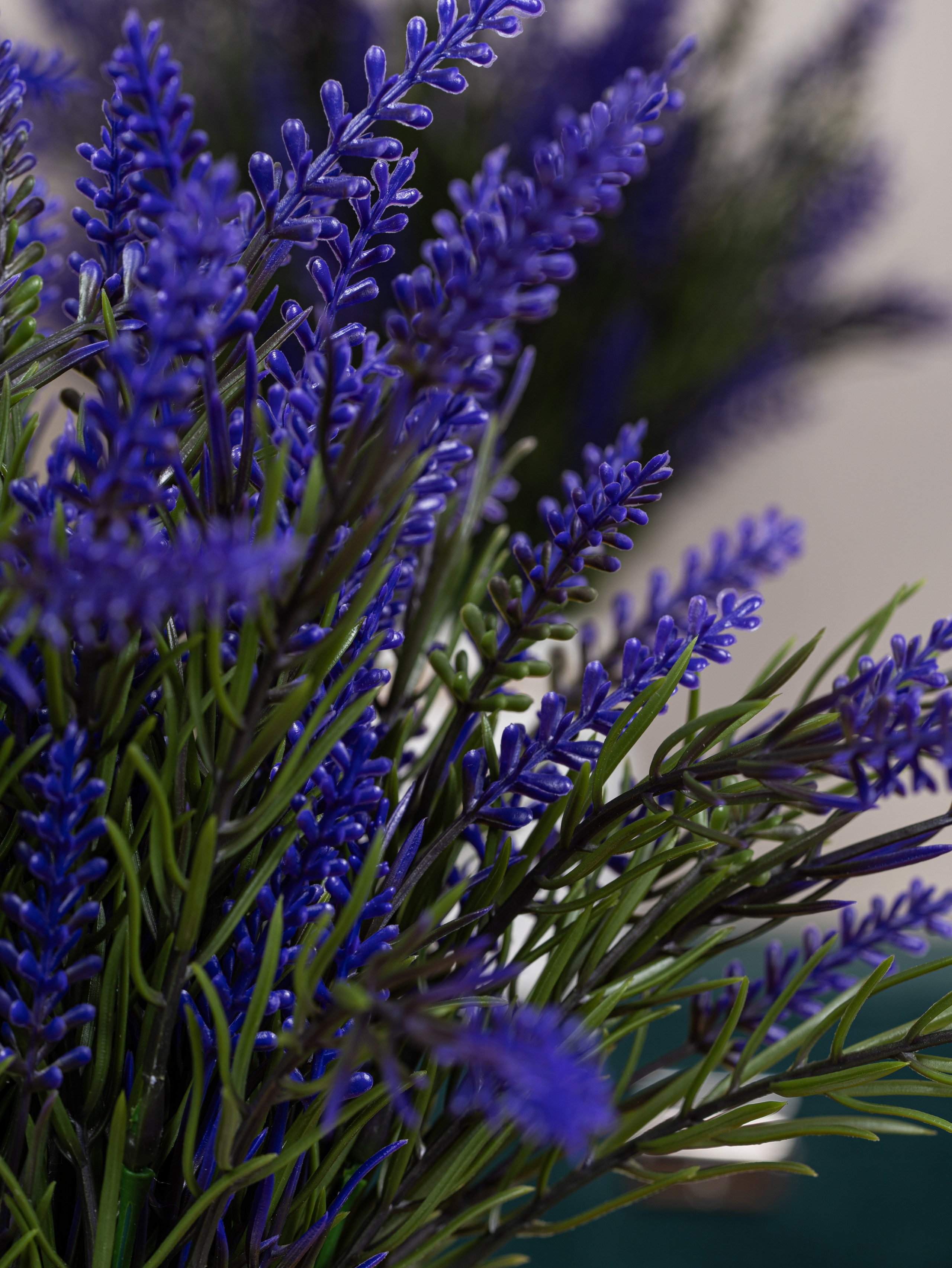 фотосъемка лаванда