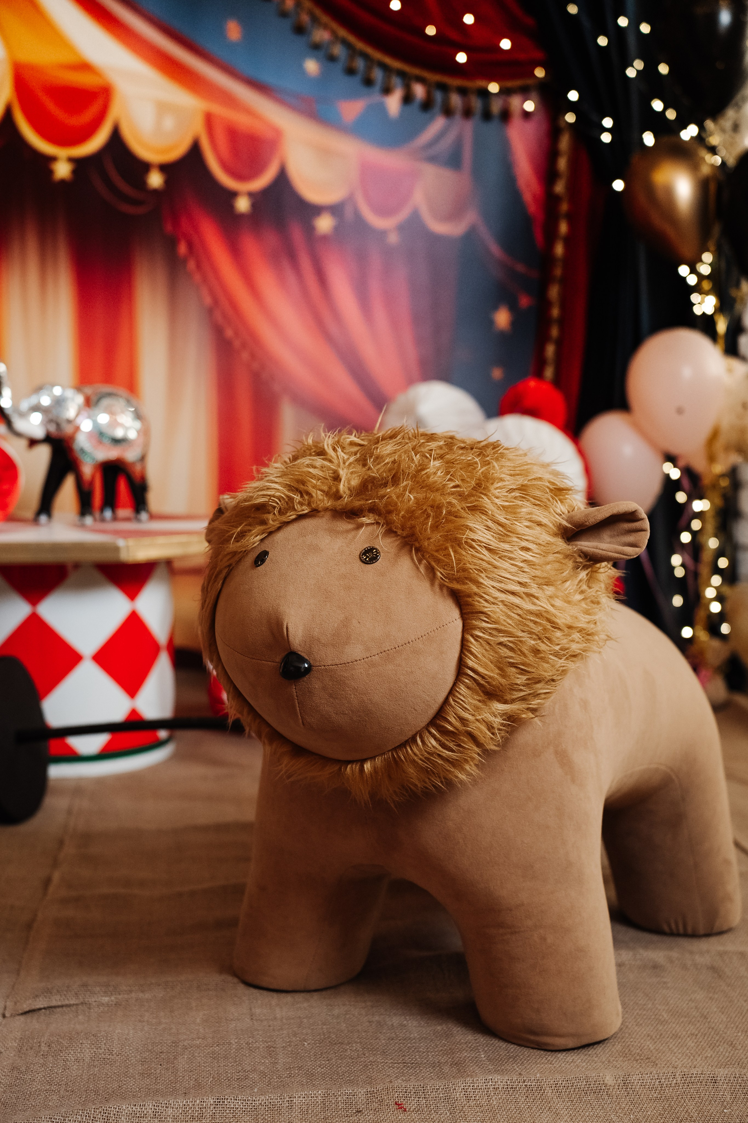 Фотостудия в центре СОЧИ, рядом с ТЦ МореМолл, все для фото и видео. Семейный фотограф в Сочи Лара Salut