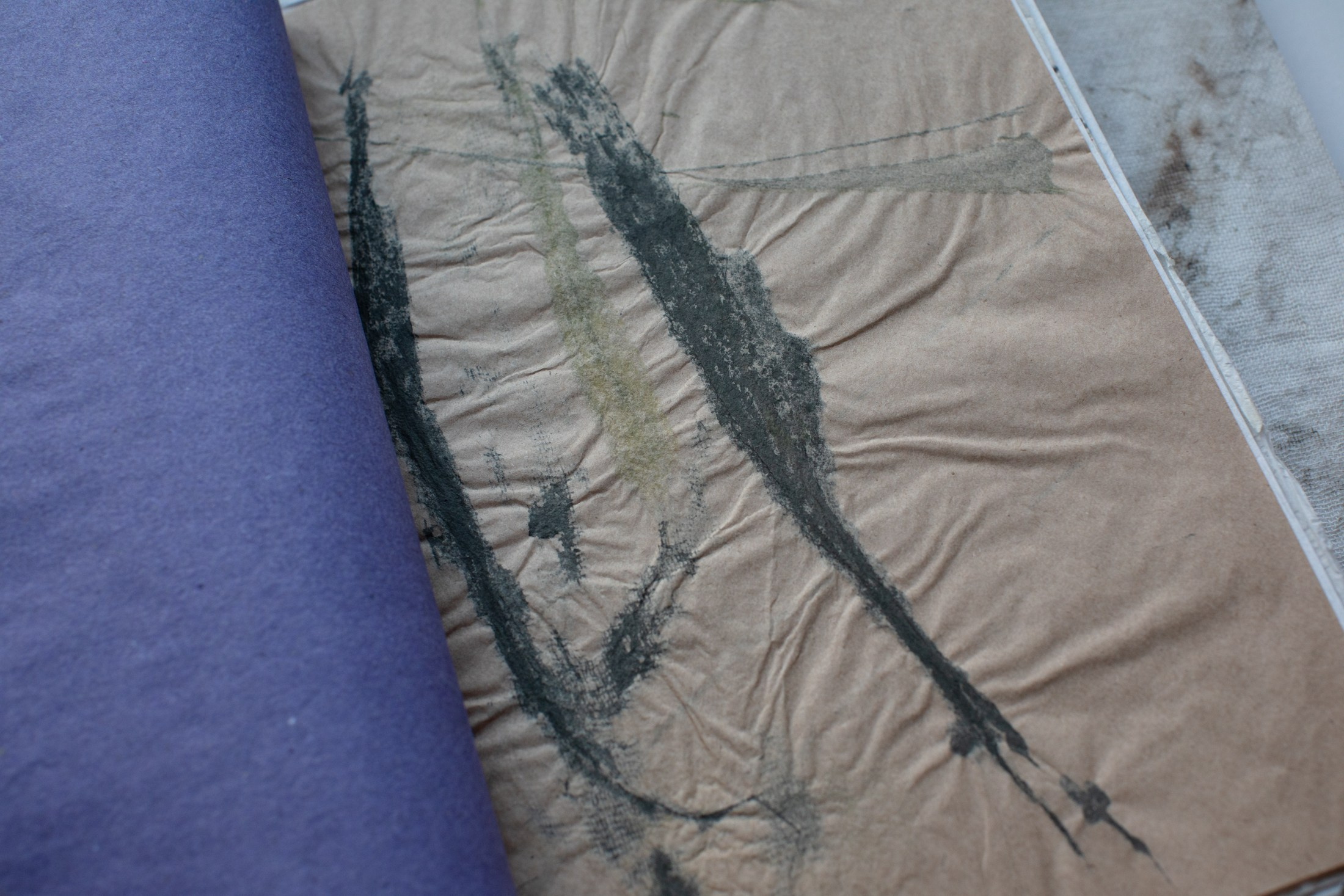 Подсосенские тетради. Natalya Madilyan