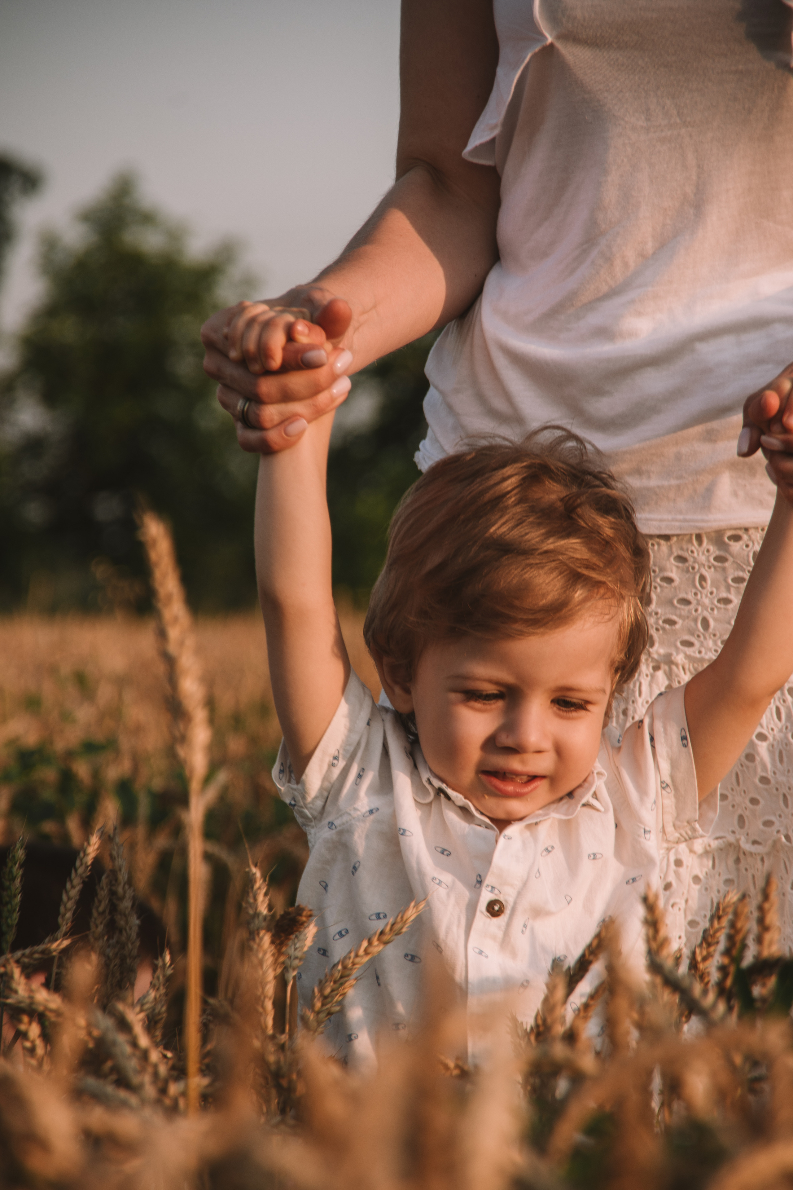 Александра и сыновья. Фотосессия в пшеничном поле. Семейный фотограф Пятигорск, Кисловодск, Эльбрус. Марина Вяликова