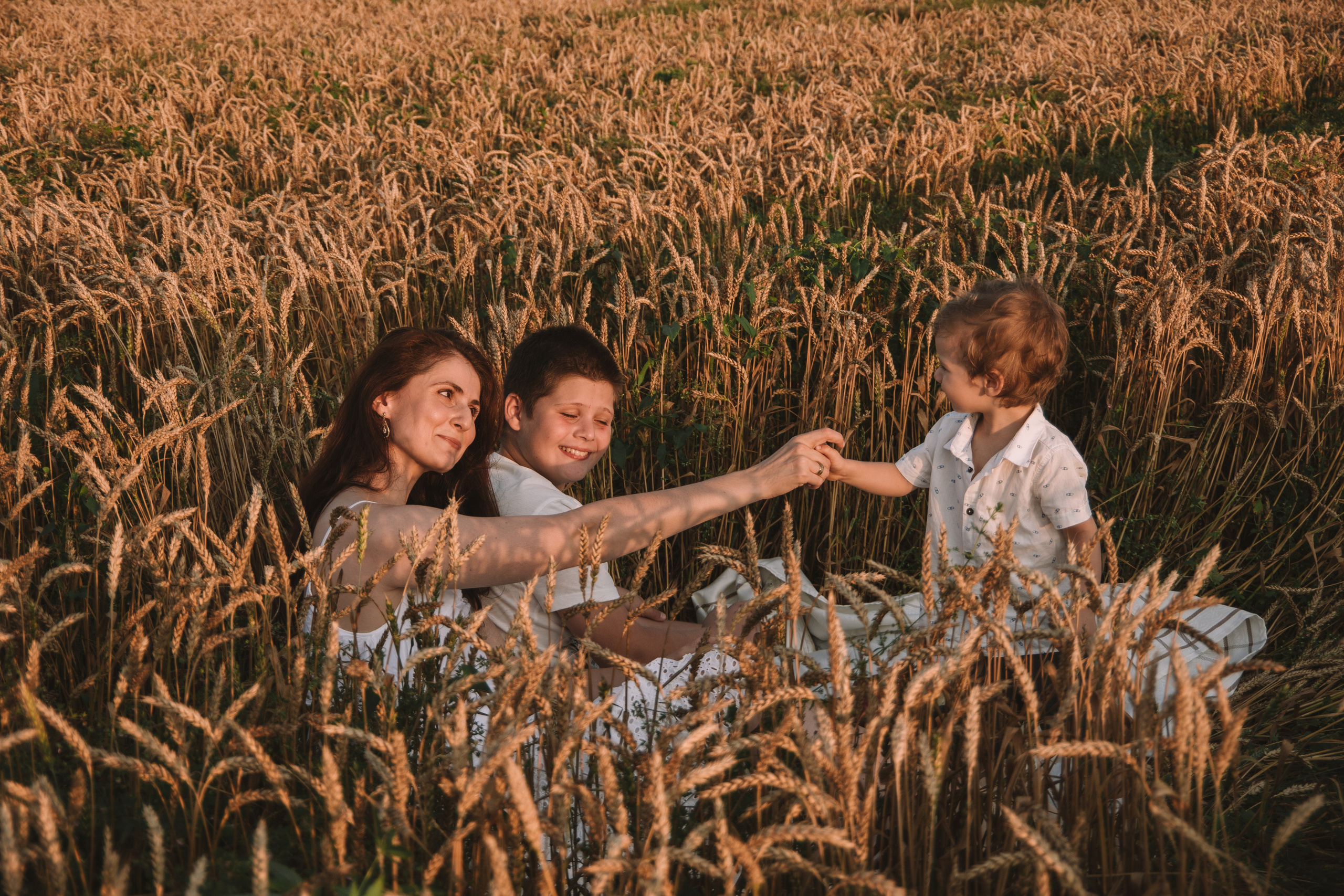 Александра и сыновья. Фотосессия в пшеничном поле. Семейный фотограф Пятигорск, Кисловодск, Эльбрус. Марина Вяликова