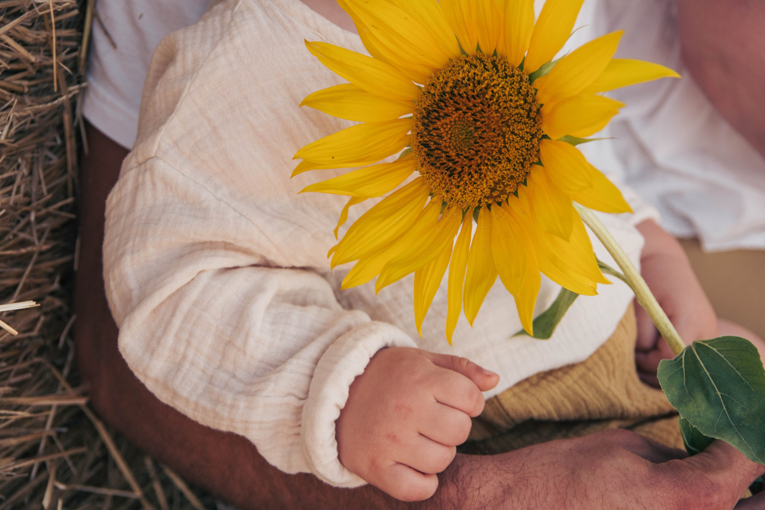 Дмитрий и Лорена. Фотосессия в поле. Семейный фотограф Пятигорск, Кисловодск, Эльбрус. Марина Вяликова