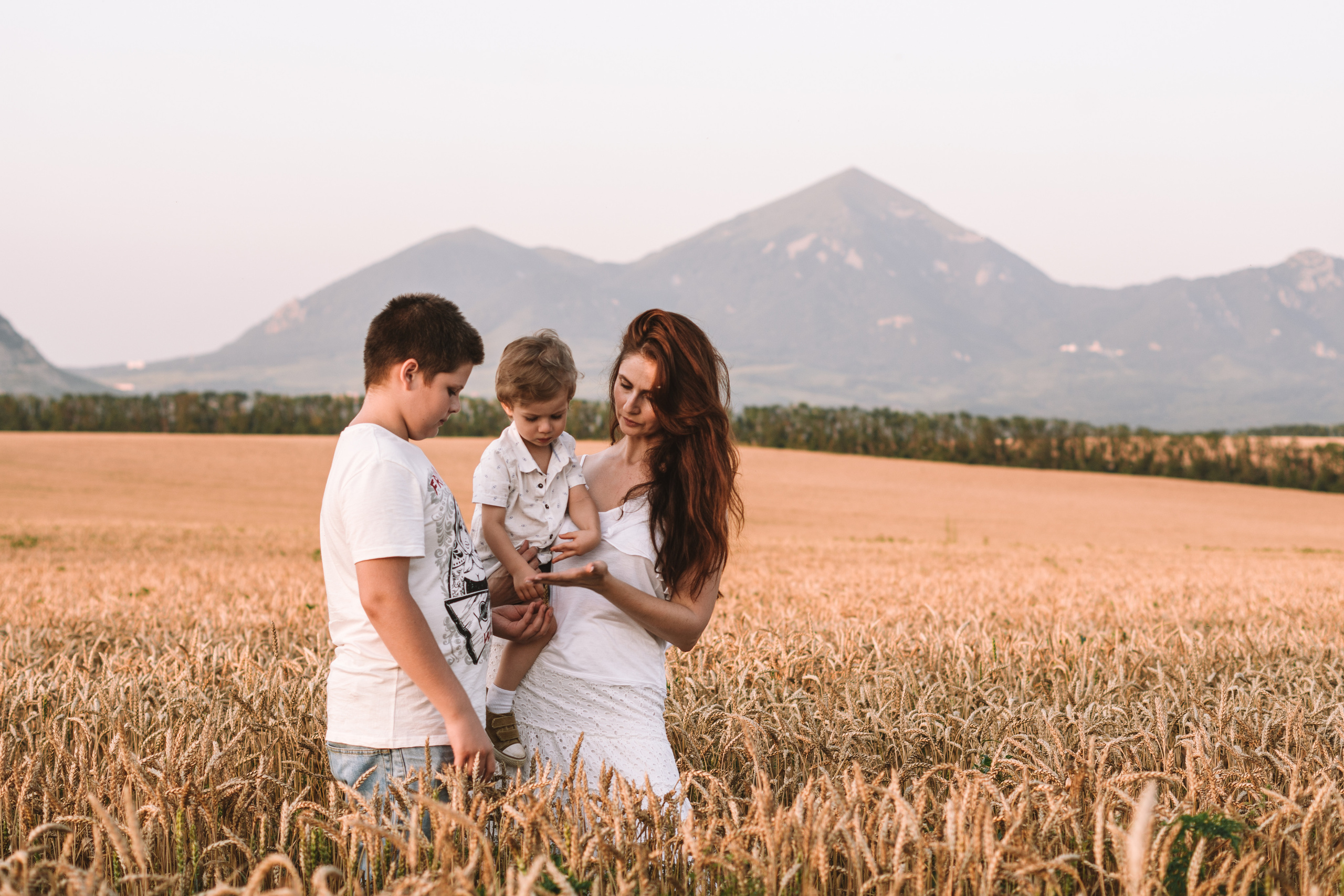 Александра и сыновья. Фотосессия в пшеничном поле. Семейный фотограф Пятигорск, Кисловодск, Эльбрус. Марина Вяликова