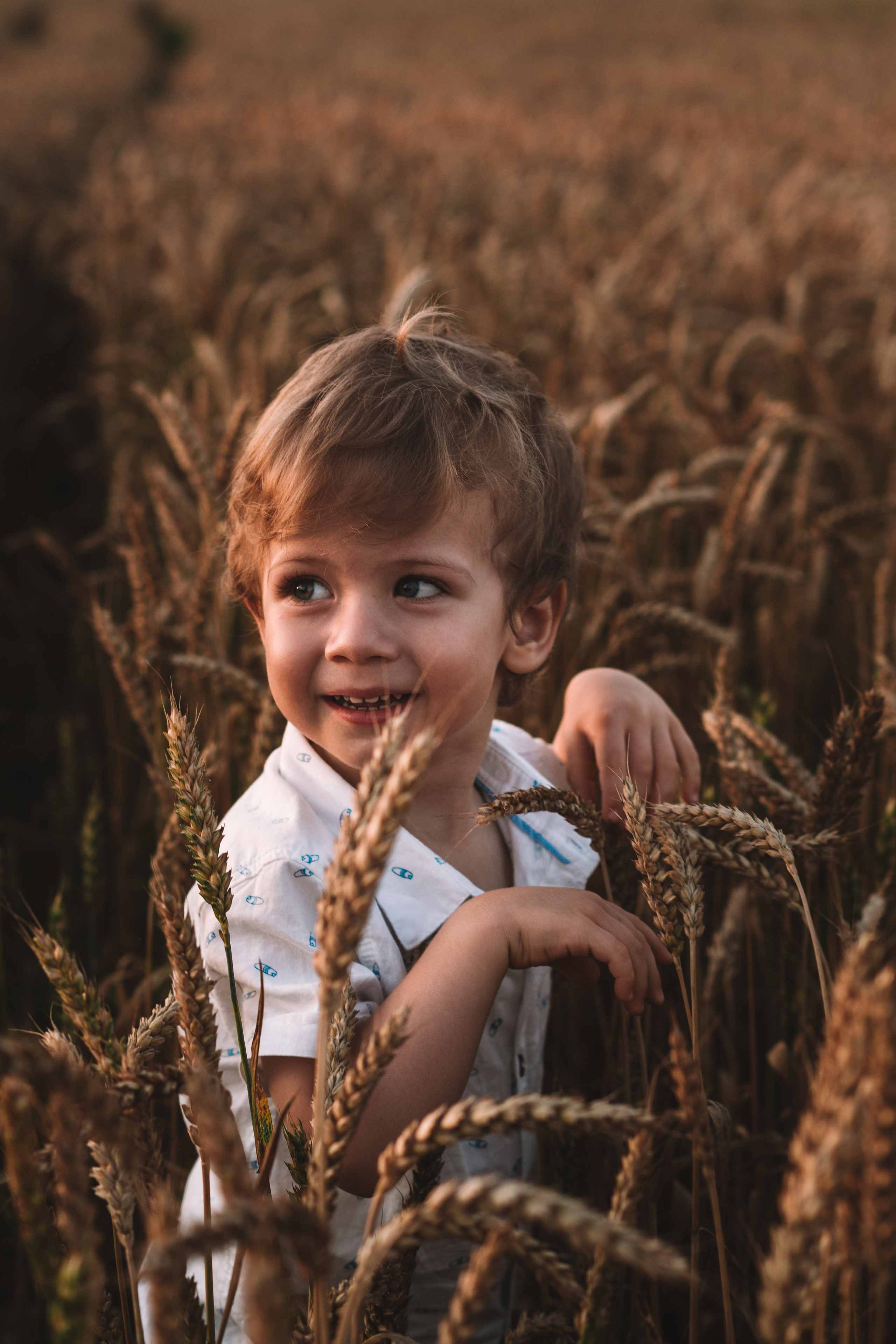 Александра и сыновья. Фотосессия в пшеничном поле. Семейный фотограф Пятигорск, Кисловодск, Эльбрус. Марина Вяликова