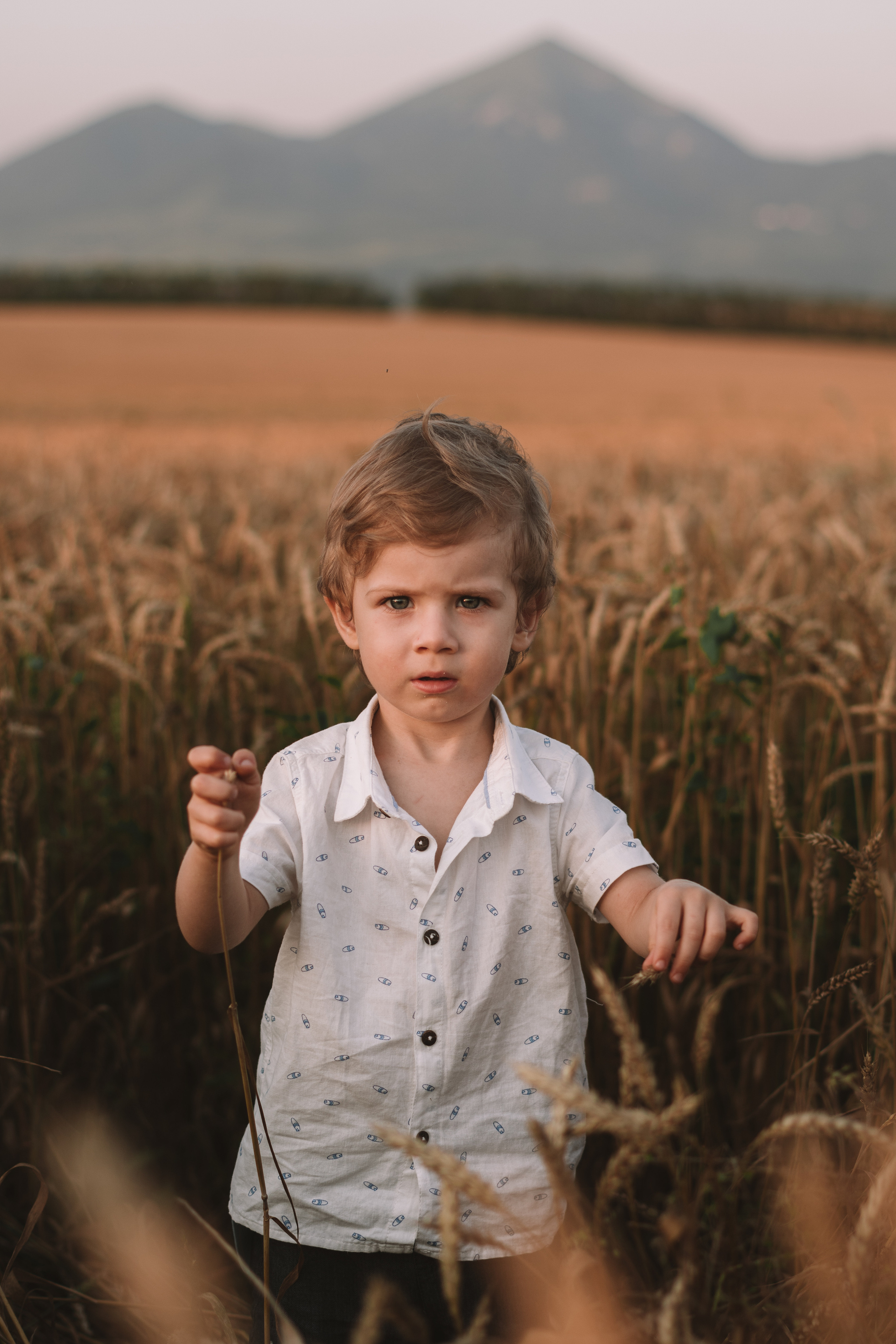 Александра и сыновья. Фотосессия в пшеничном поле. Семейный фотограф Пятигорск, Кисловодск, Эльбрус. Марина Вяликова