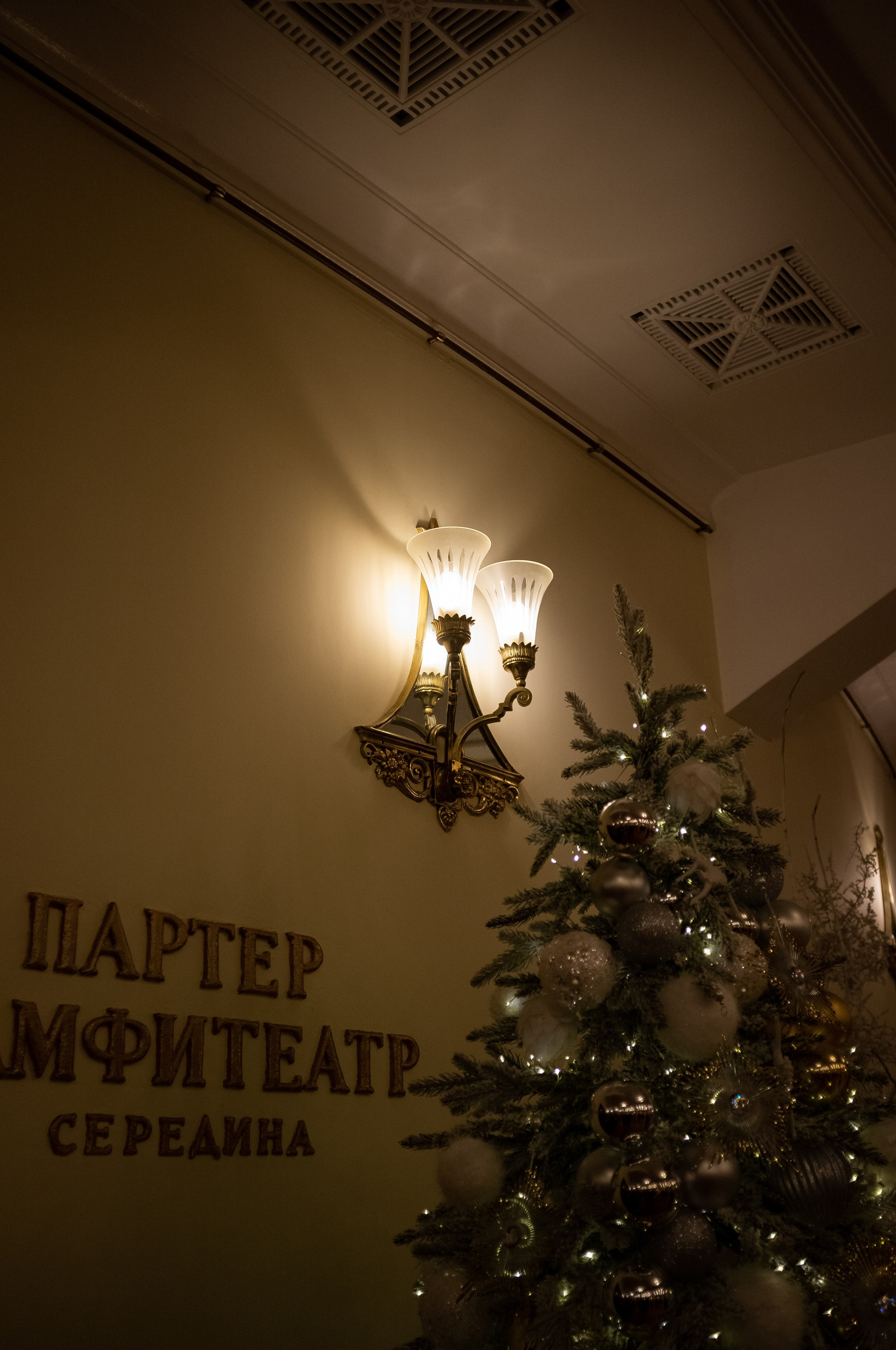 Новогодний вечер. Итальянка в Алжире. Искусство фотографии. Мария Осокина