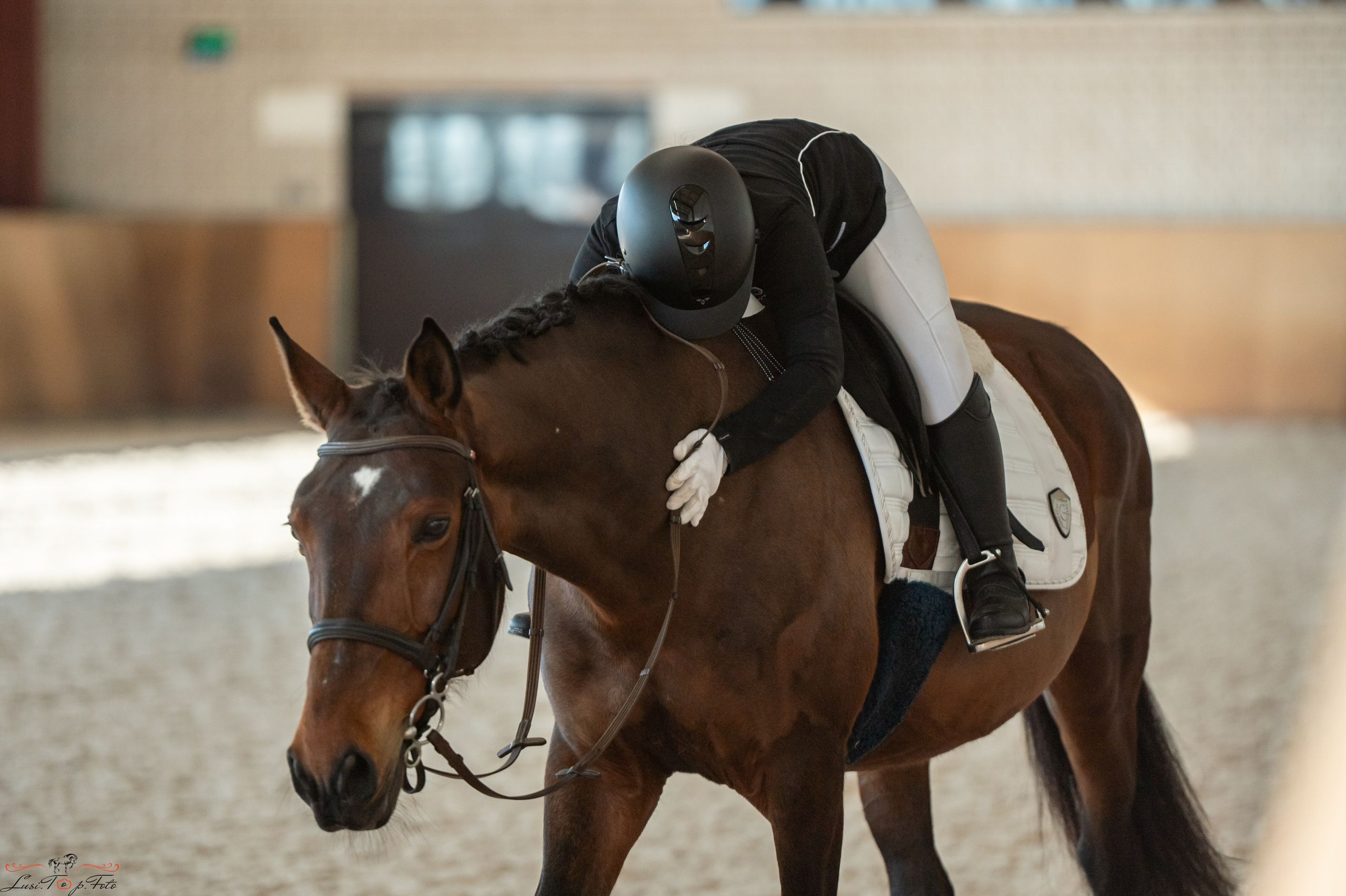 Эквипарк 6 этап Кубка Клубов. Конный и фотограф с животными в Твери Топталова Люся