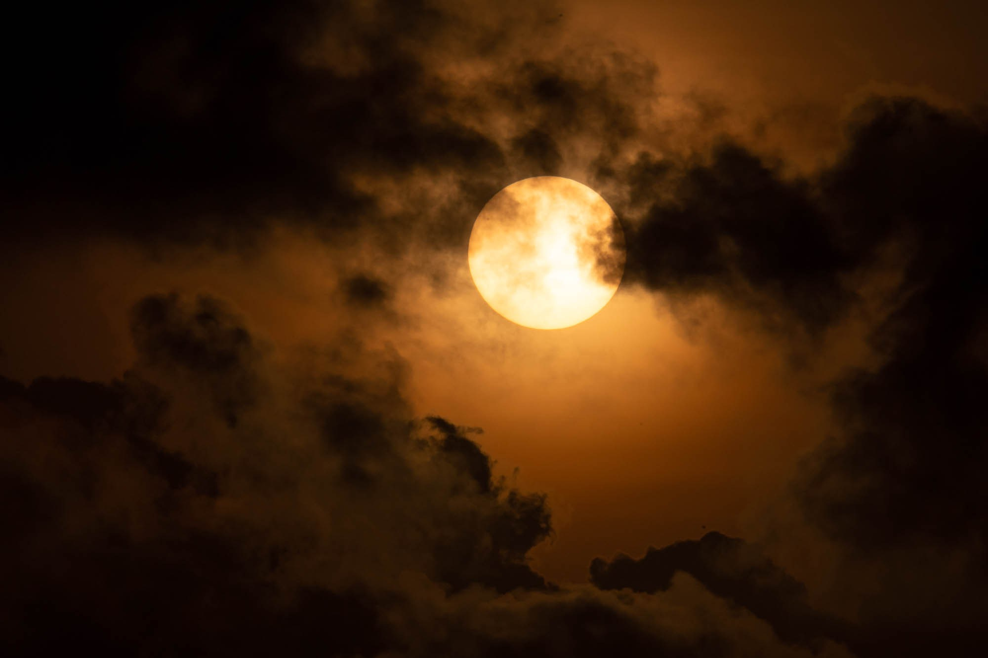 Африка, Танзания, Занзибар, Нунгви. Africa, Tanzania, Zanzibar, Nungwi. Фотограф Алексей Скоробогатько