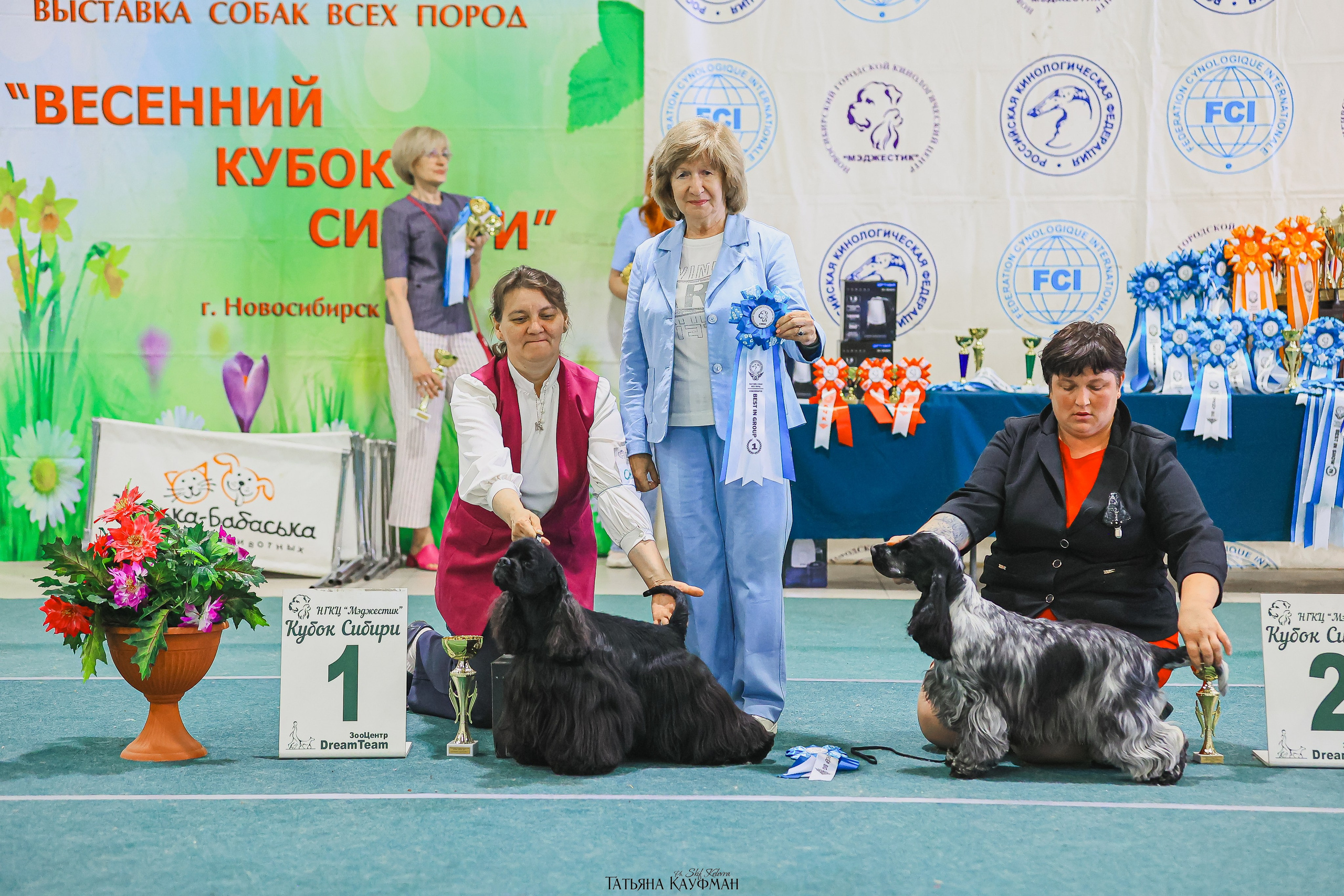 13.07.25 2х выставки собак. Новосибирск. «Кубок Сибири»