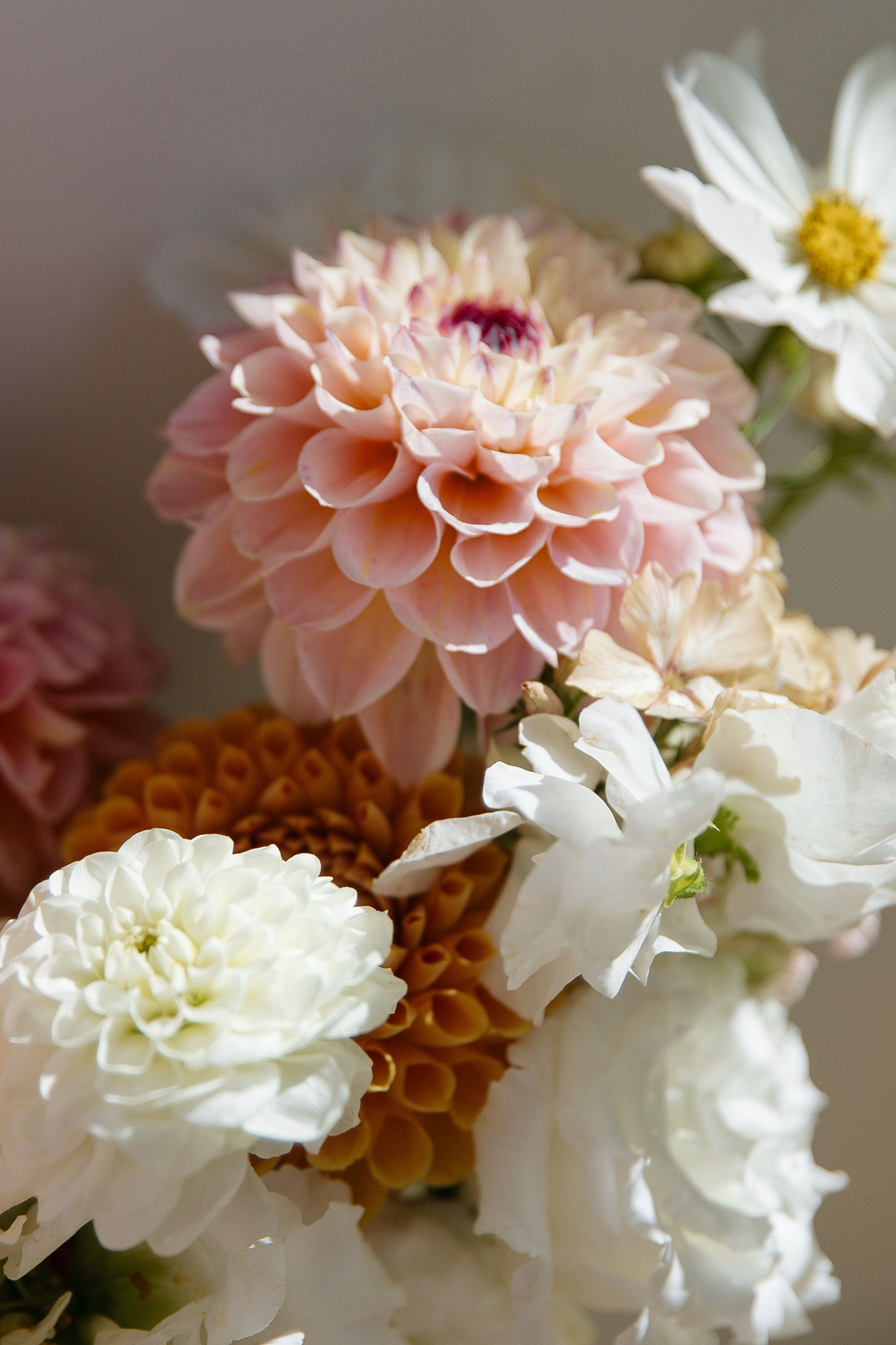 Дарина | Никита