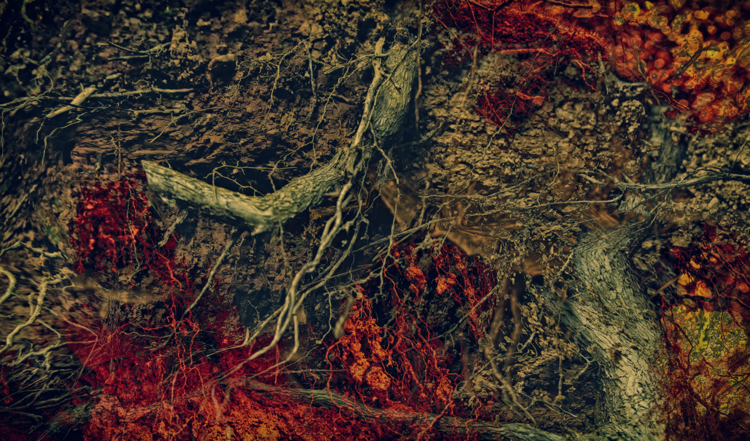 Творчество. Фотограф в Сочи Елена Лисотина. Фототуры в Сочи