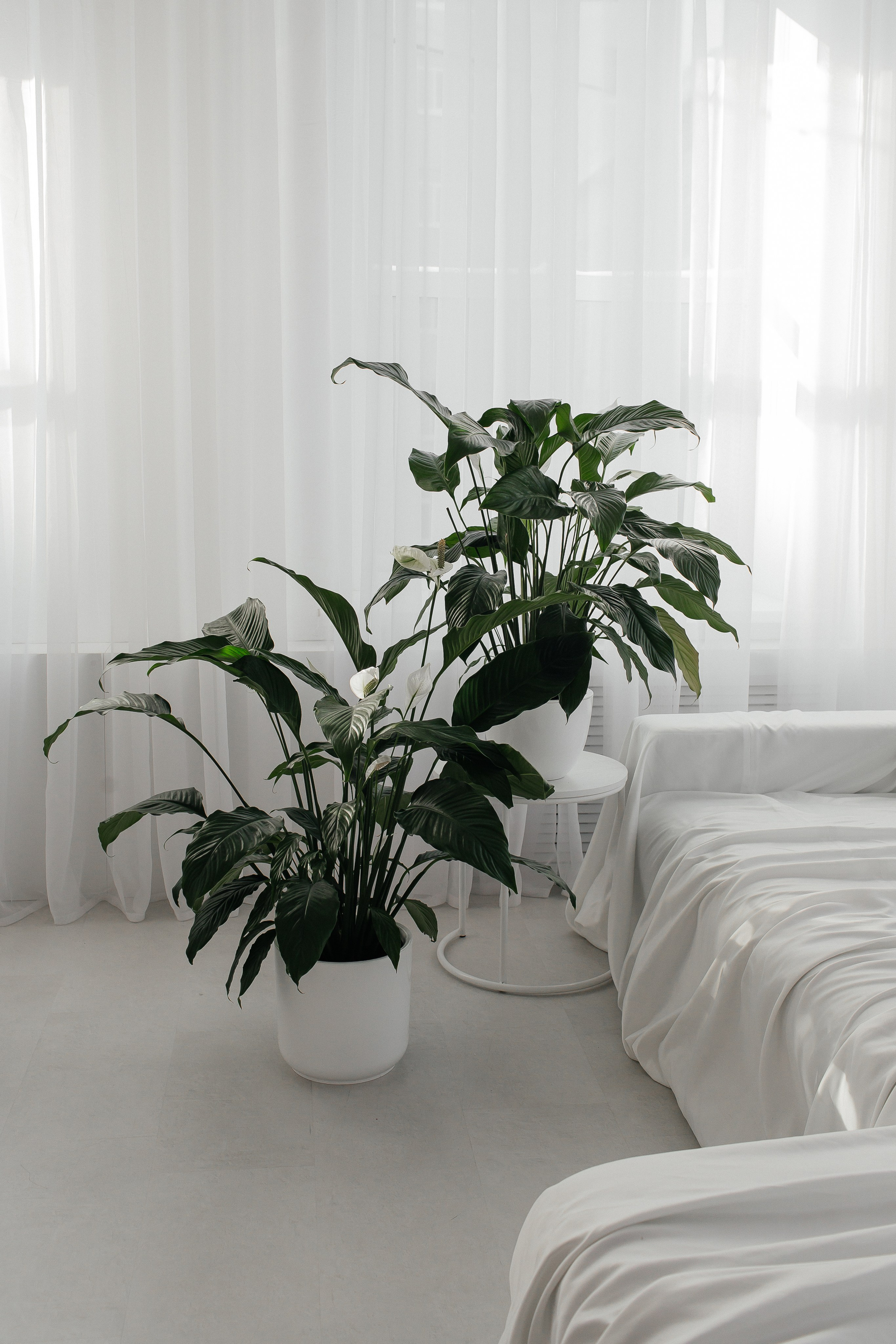 Фотостудия «Алиса» Тюмень