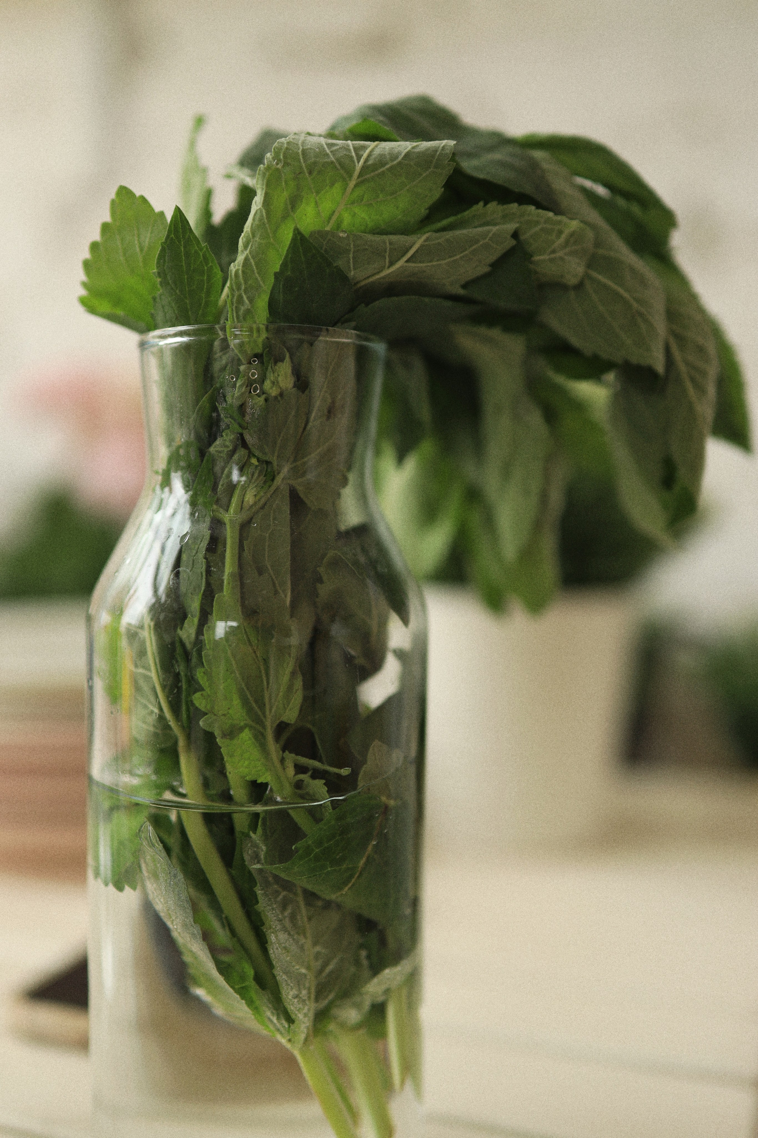 Cooking class by Cook Kruzhok | 2023. POLINA MÔMOT