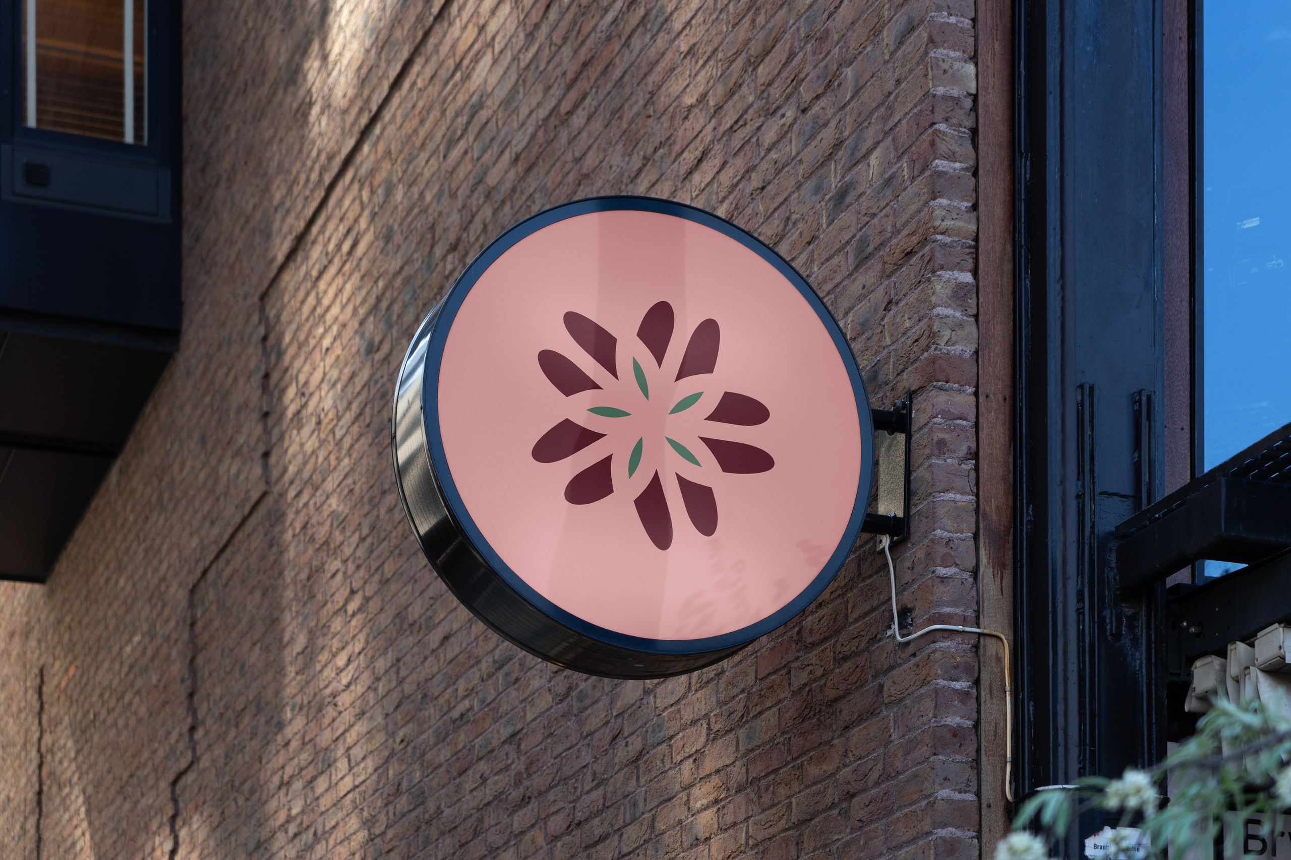 Логотип. ANNSOUL — графический и brand — дизайнер