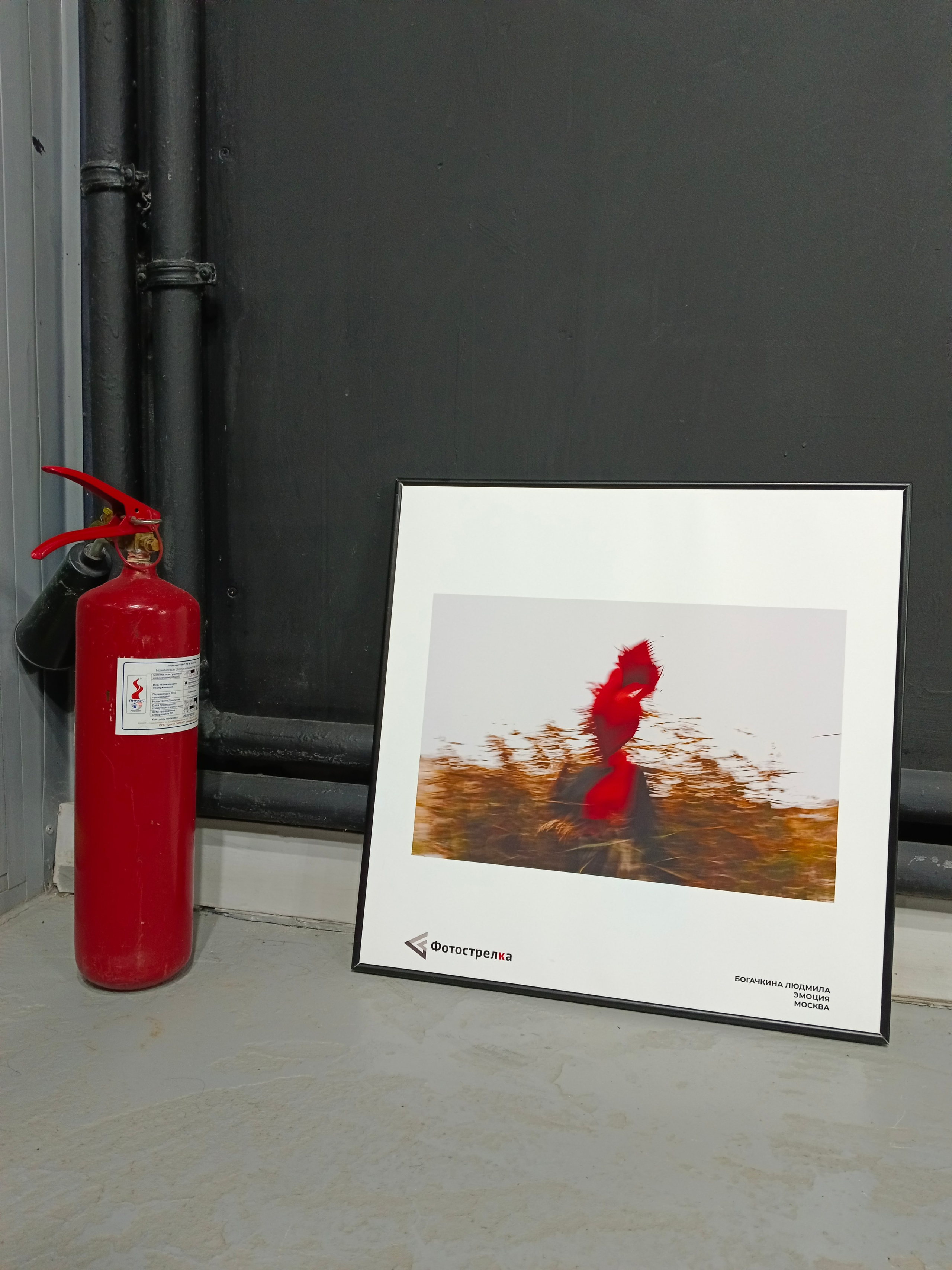 Красная в Новосибирске 8.08.25 — 26.10.25. Фотострелка