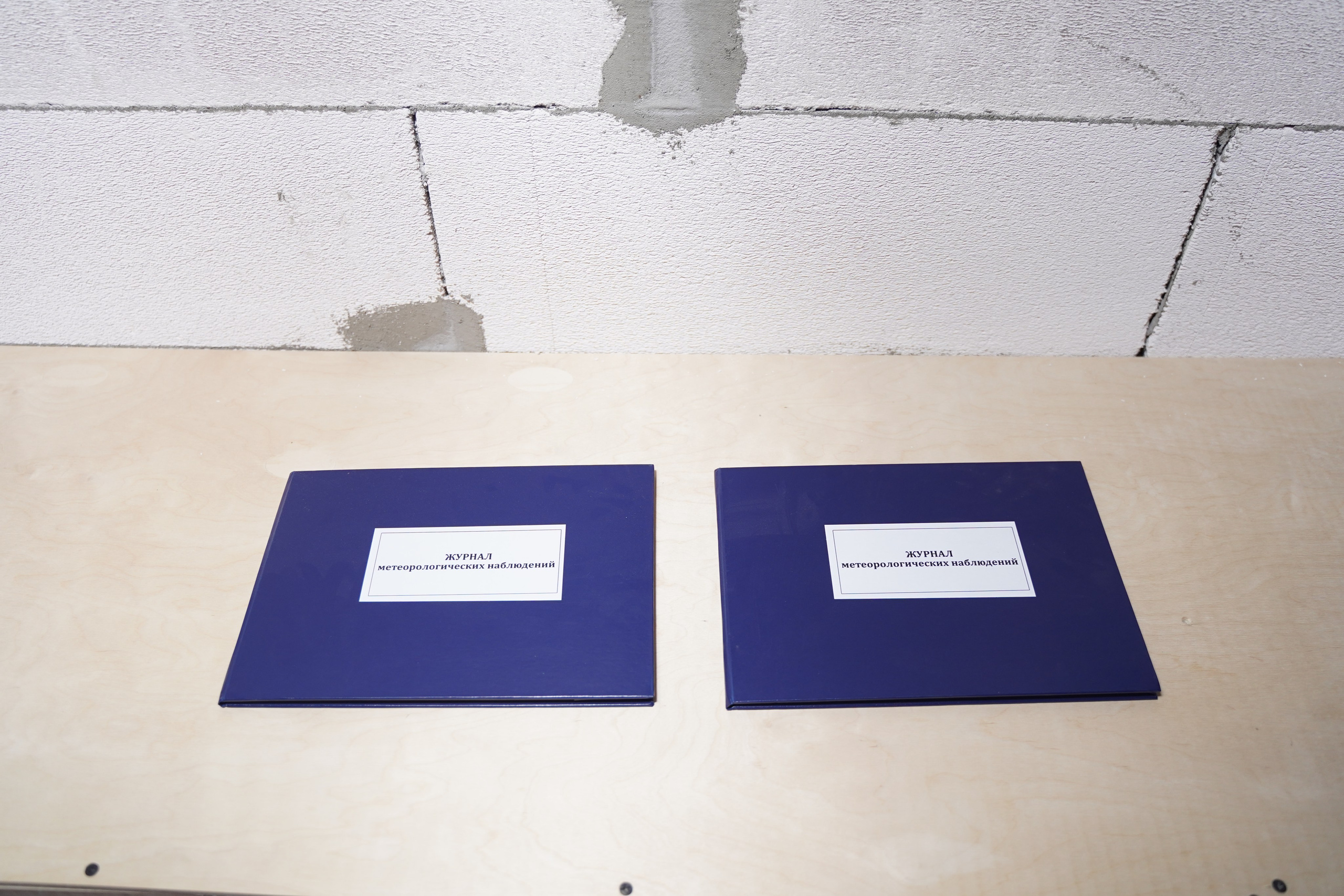 Полуденное, групповая выставка, 26.09-10.10, пространство «Союз», Тула. Лера Круглова