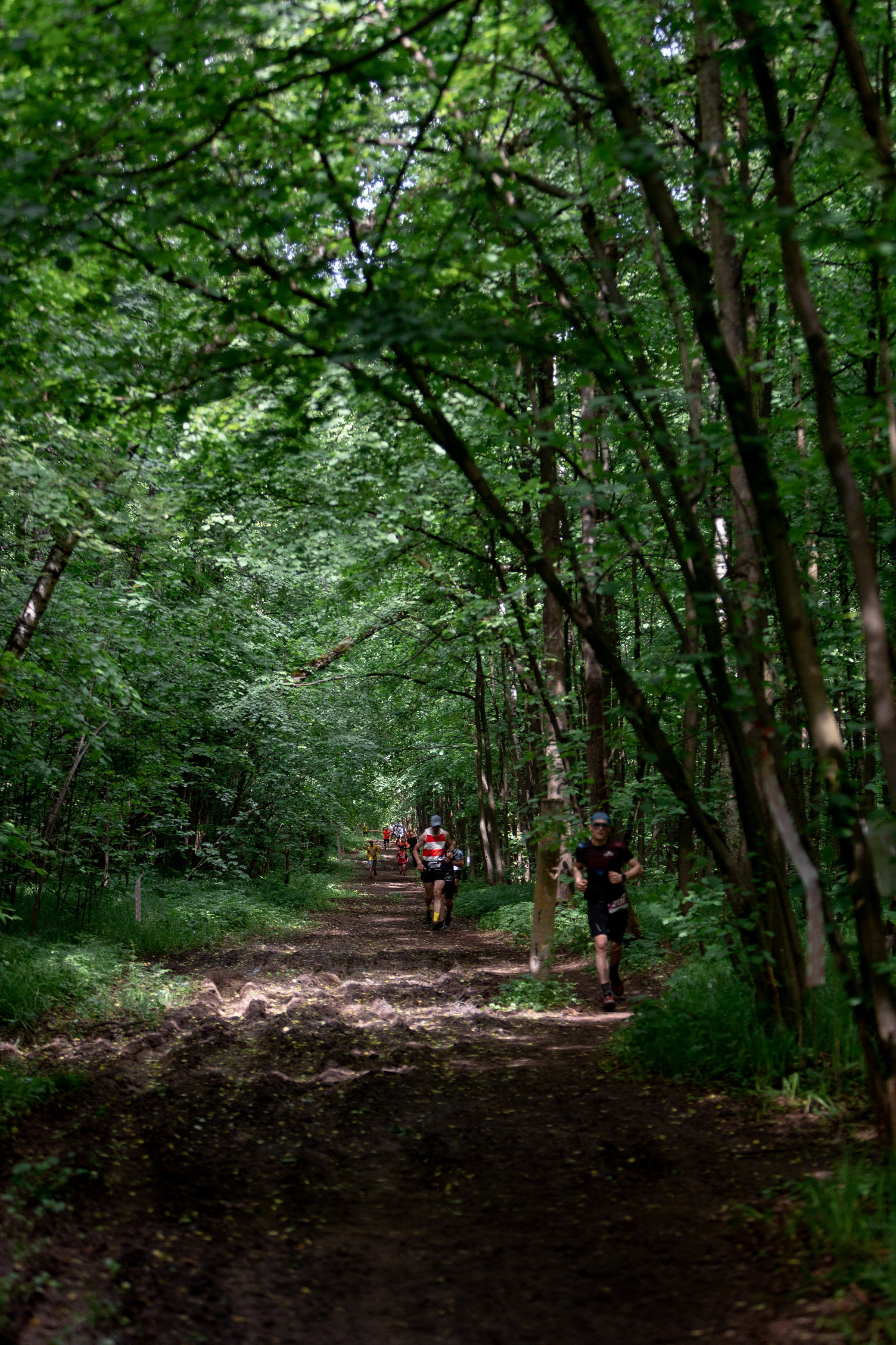 CityTrail Ромашково