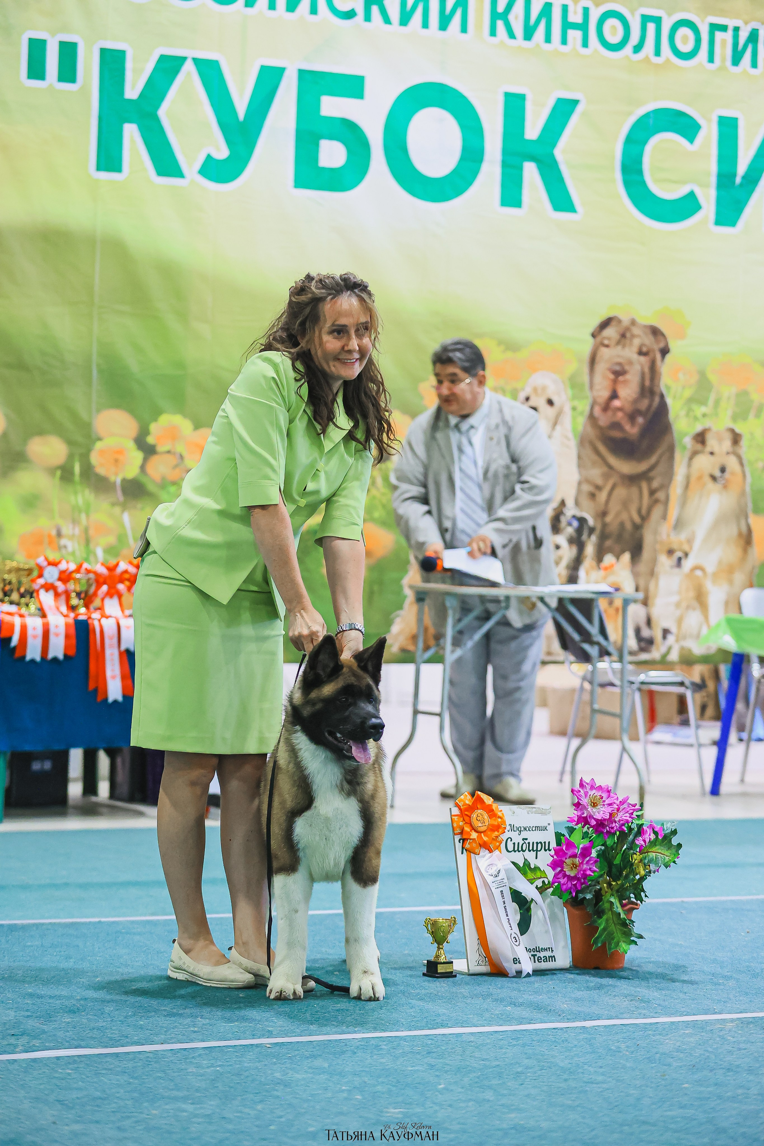 13.07.25 2х выставки собак. Новосибирск. «Кубок Сибири»